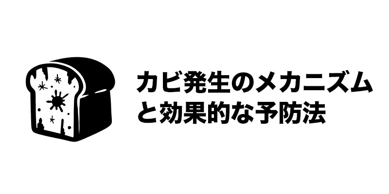 カビ発生のメカニズムと効果的な予防法