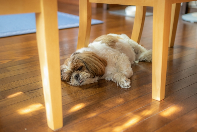 エアコンクリーニング　ペット