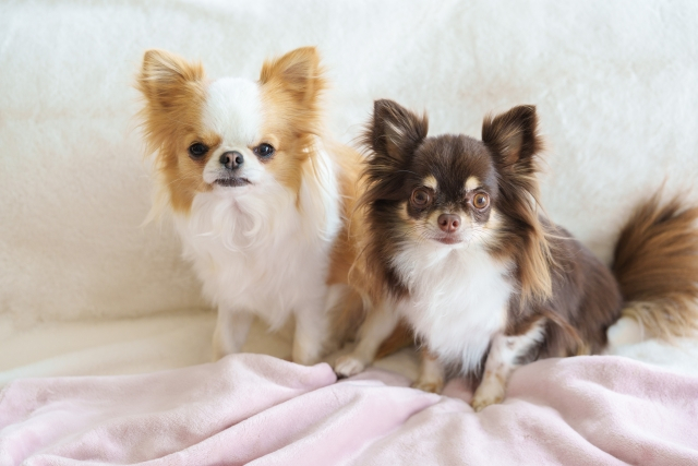 エアコンクリーニング　頻度