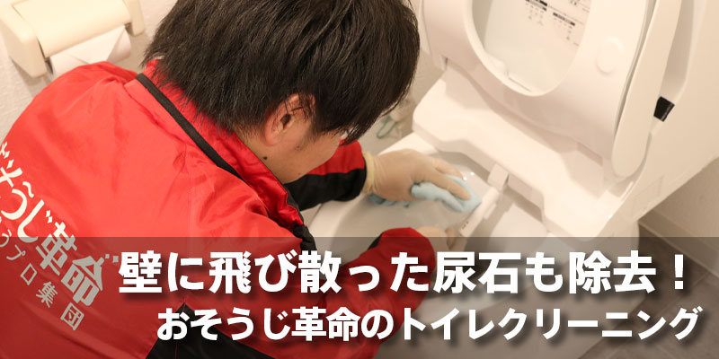 壁に飛び散った尿石も除去！おそうじ革命のトイレクリーニング