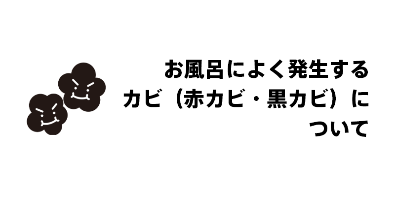 お風呂によく発生するカビ（赤カビ・黒カビ）について
