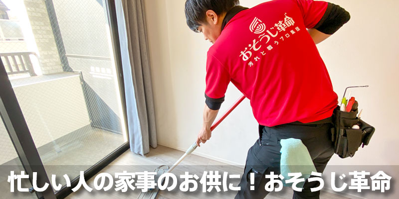 忙しい人の家事のお供に！おそうじ革命