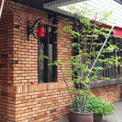 おそうじ革命の外壁洗浄