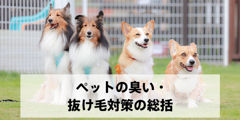 ペットの臭い・抜け毛対策の総括