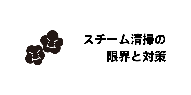 スチーム清掃の限界と対策