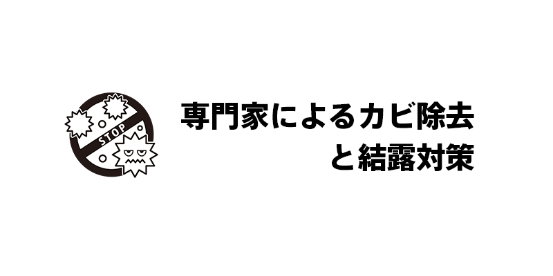 専門家によるカビ除去と結露対策