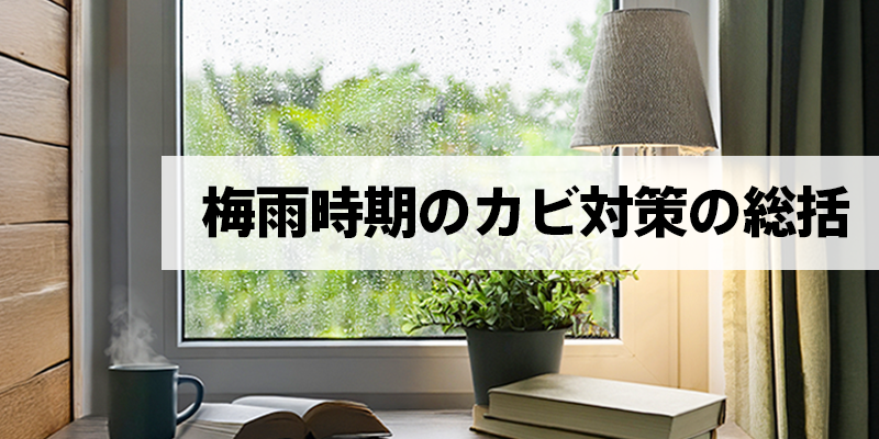 梅雨時期のカビ対策の総括