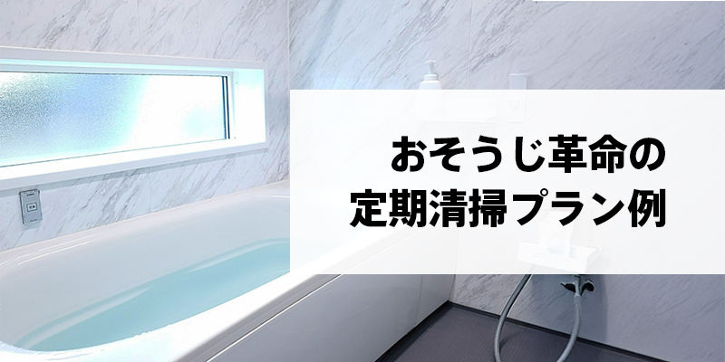 おそうじ革命の定期清掃プラン例