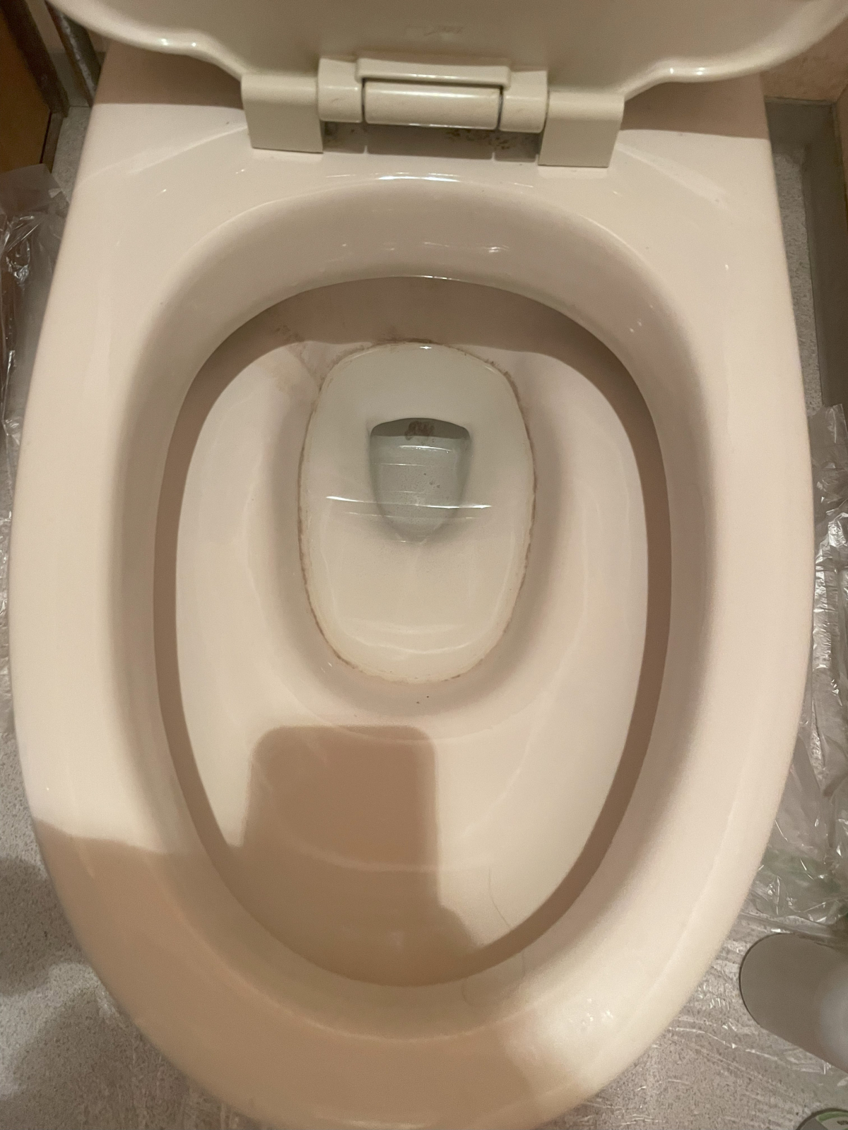 東京都大田区のトイレクリーニングの作業前1