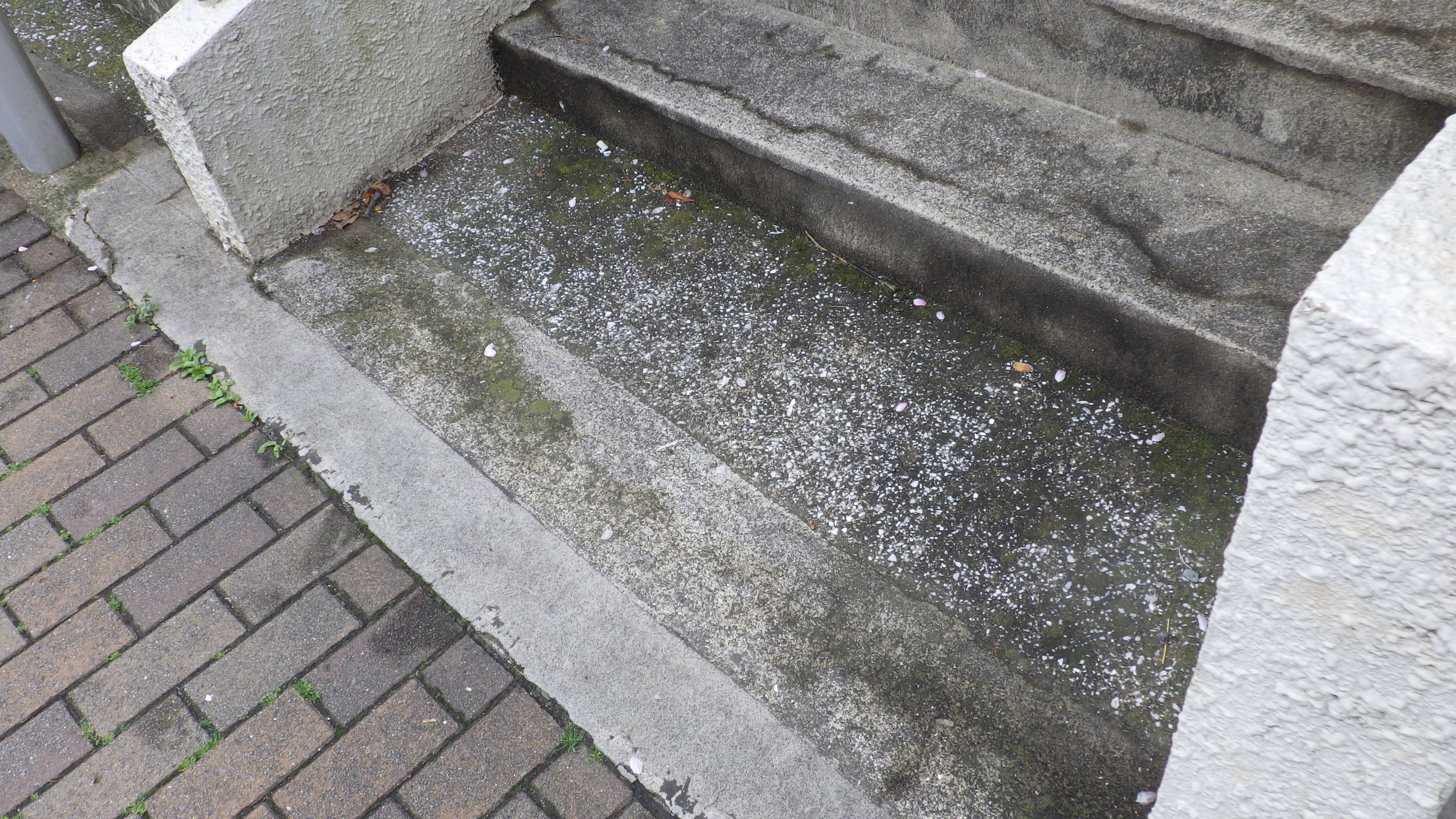 東京都品川区旗の台の店舗清掃の作業前2