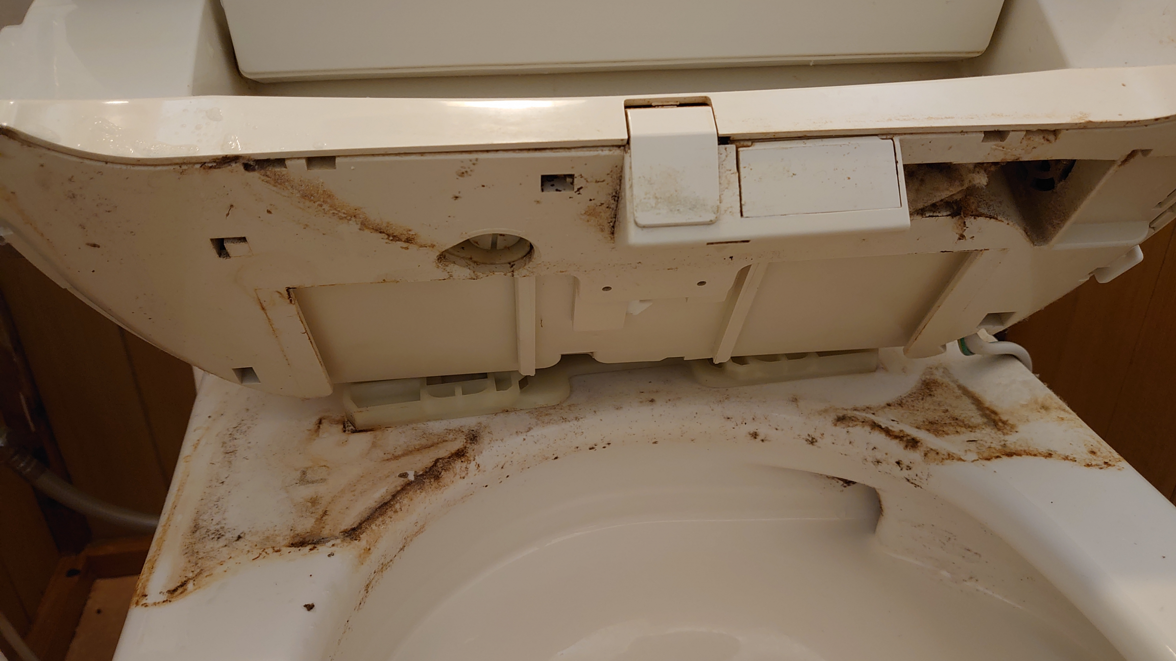 東京都小平市の在宅丸ごとお掃除パックの作業前3