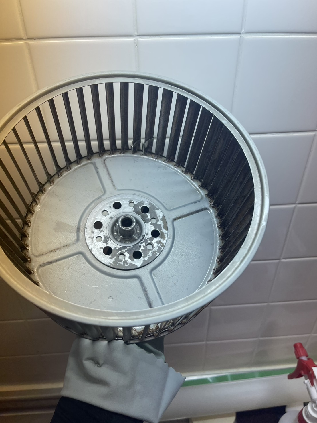 千葉県香取市のトイレクリーニングの作業後2