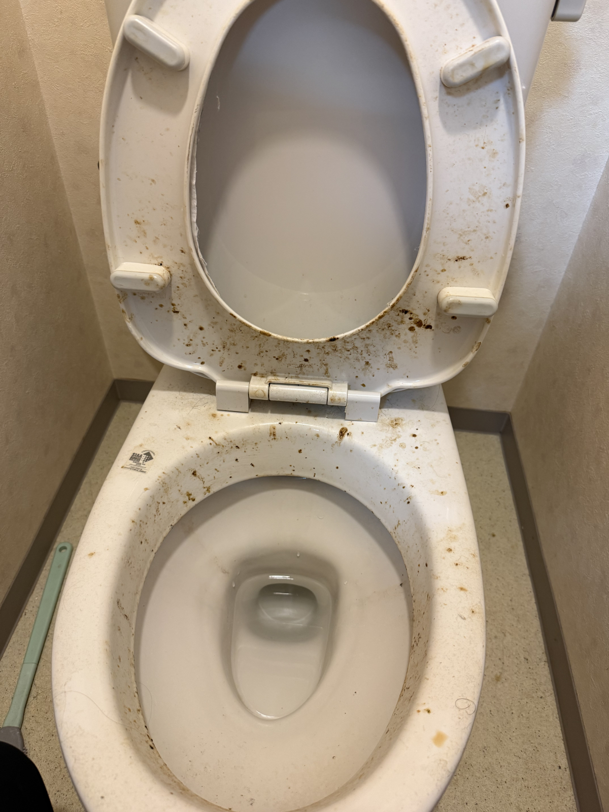 千葉県香取市のトイレクリーニングの作業前3