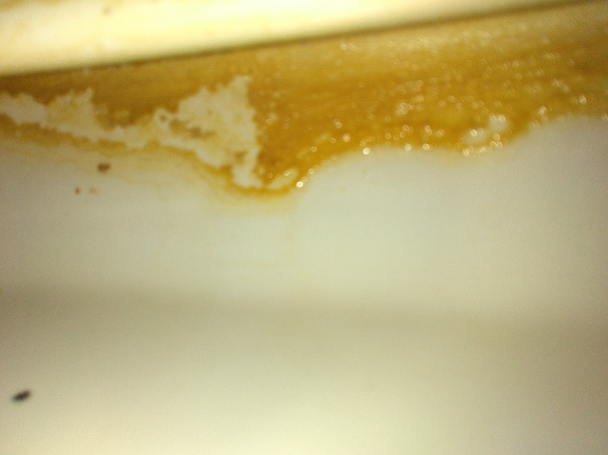 愛知県瀬戸市のトイレクリーニングの作業前2