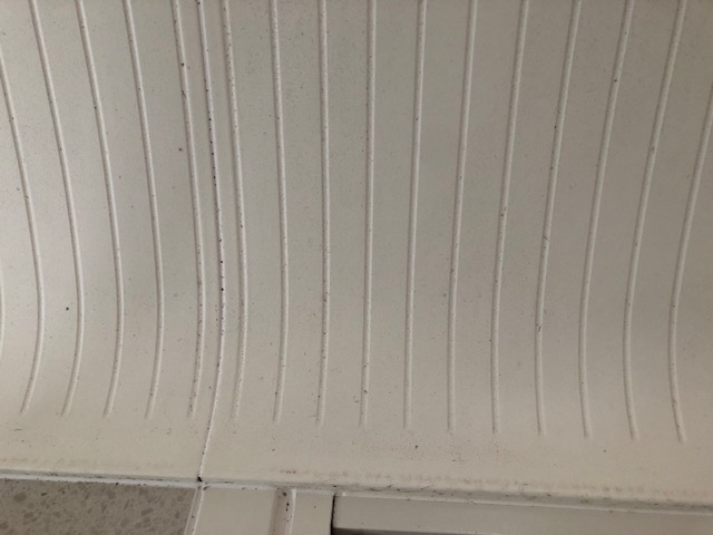 神奈川県川崎市川崎区の浴室・お風呂クリーニングの作業前1