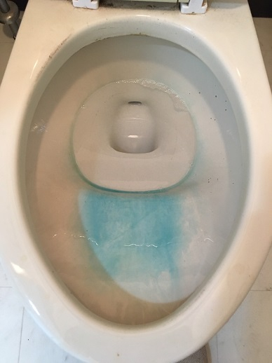 千葉県八街市沖のトイレクリーニングの作業前2