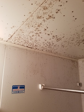 千葉県八街市沖の浴室・お風呂クリーニングの作業前1