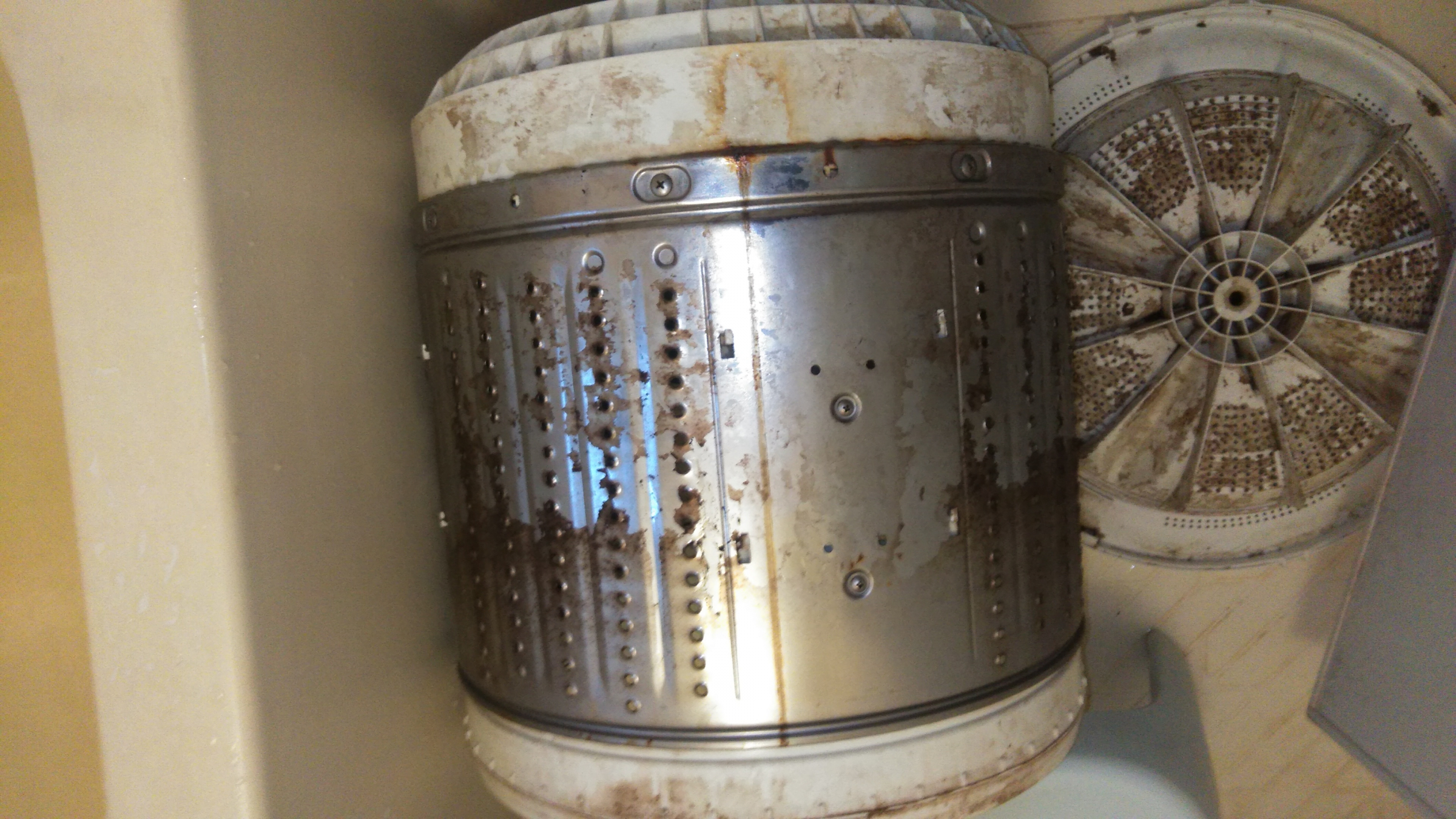 熊本県菊池郡菊陽町原水の洗濯機分解クリーニングの作業前1