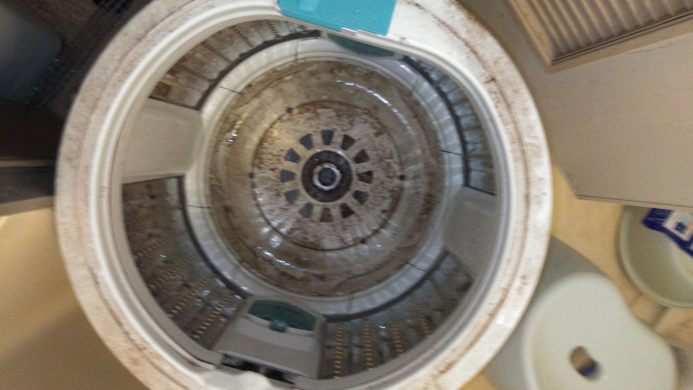 熊本県菊池郡菊陽町原水の洗濯機分解クリーニングの作業前2