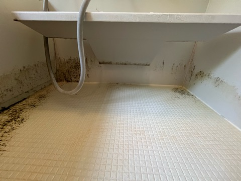 埼玉県日高市向陽台の浴室・お風呂クリーニングの作業前1