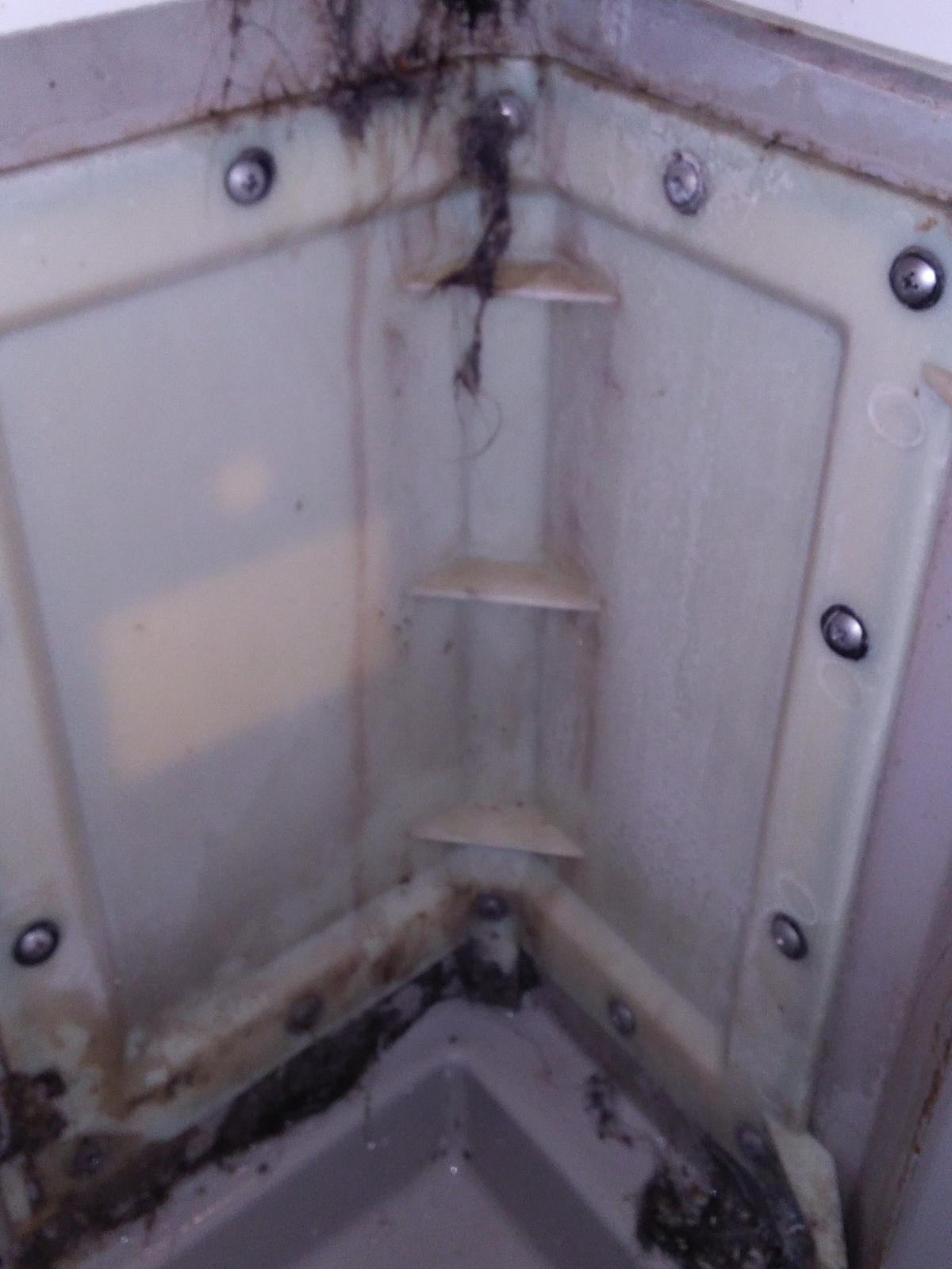 滋賀県大津市の浴室・お風呂クリーニングの作業前1