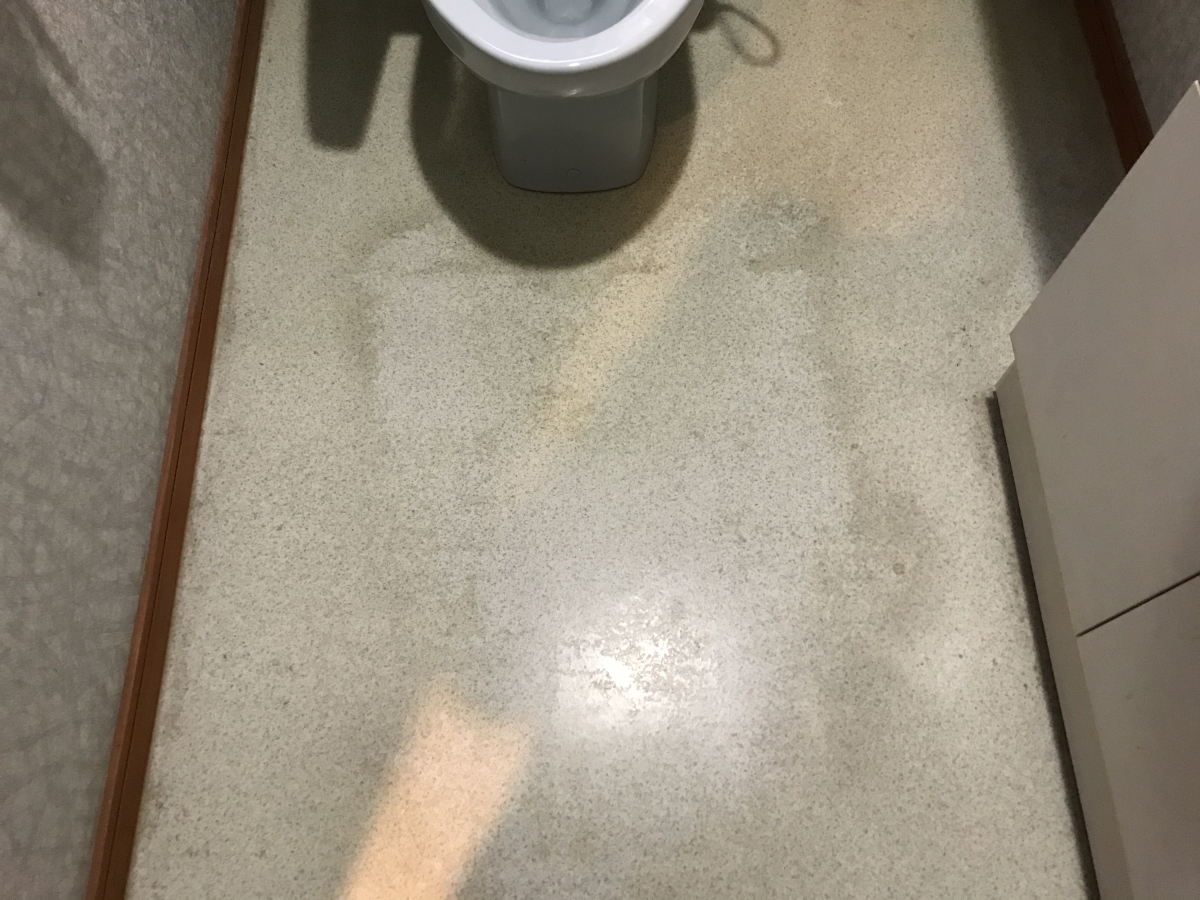 静岡県掛川市のトイレクリーニングの作業前2