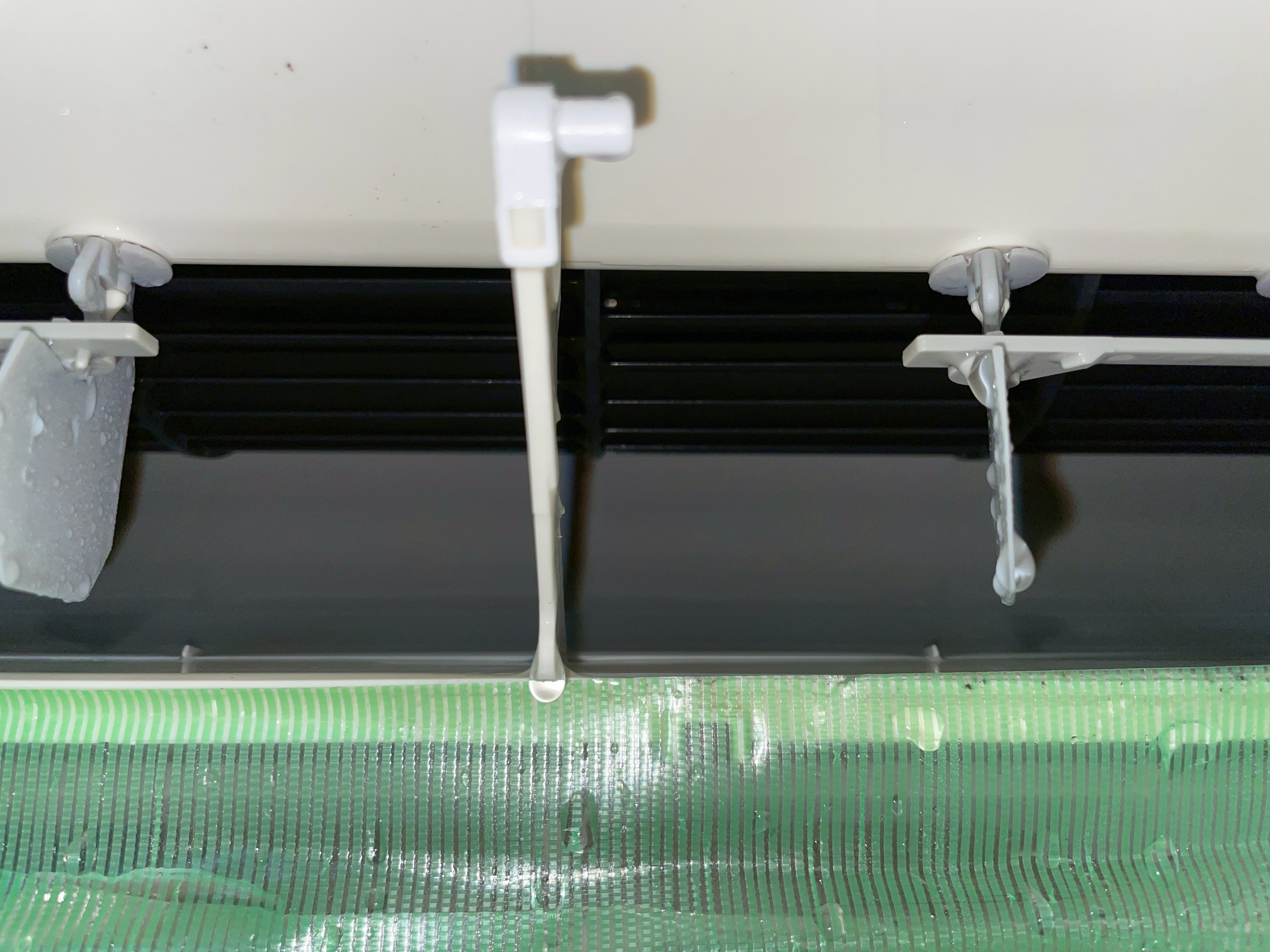 東京都文京区千駄木の賃貸住宅入居前の簡易クリーニングの作業後1