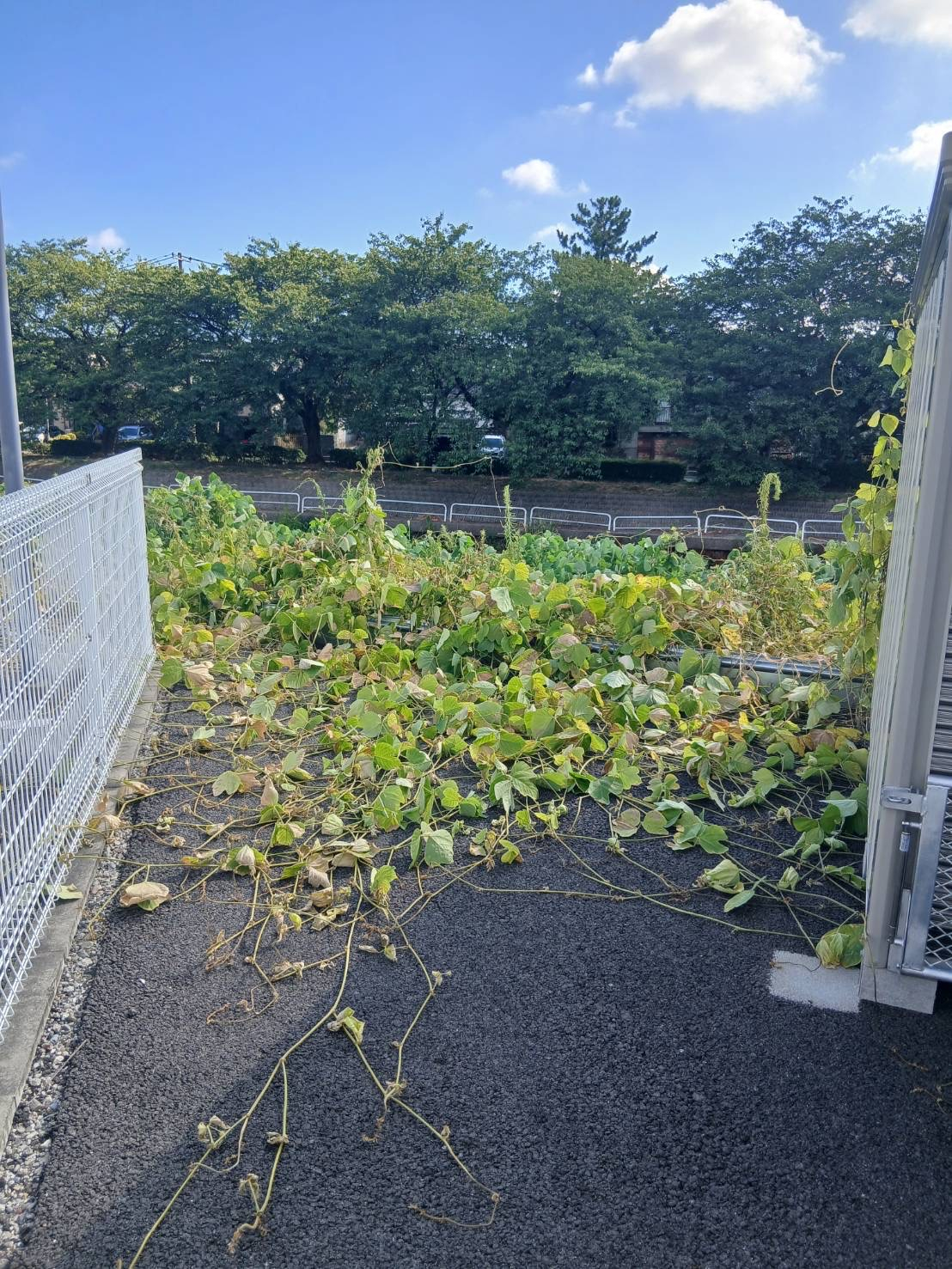 新潟県新潟市江南区所島の何でもわがまま定額サービスの作業前1