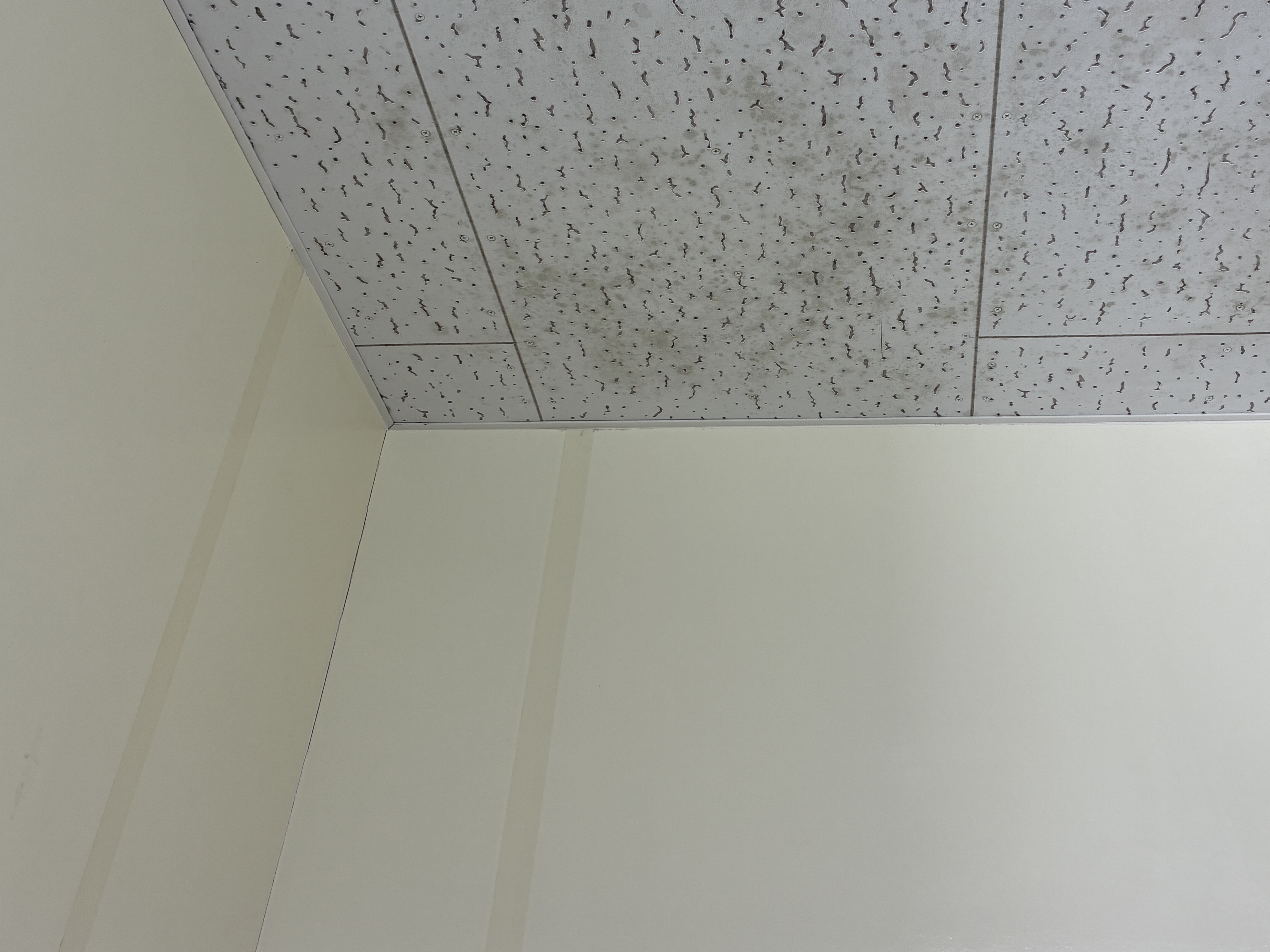 茨城県守谷市のオフィス清掃の作業前2