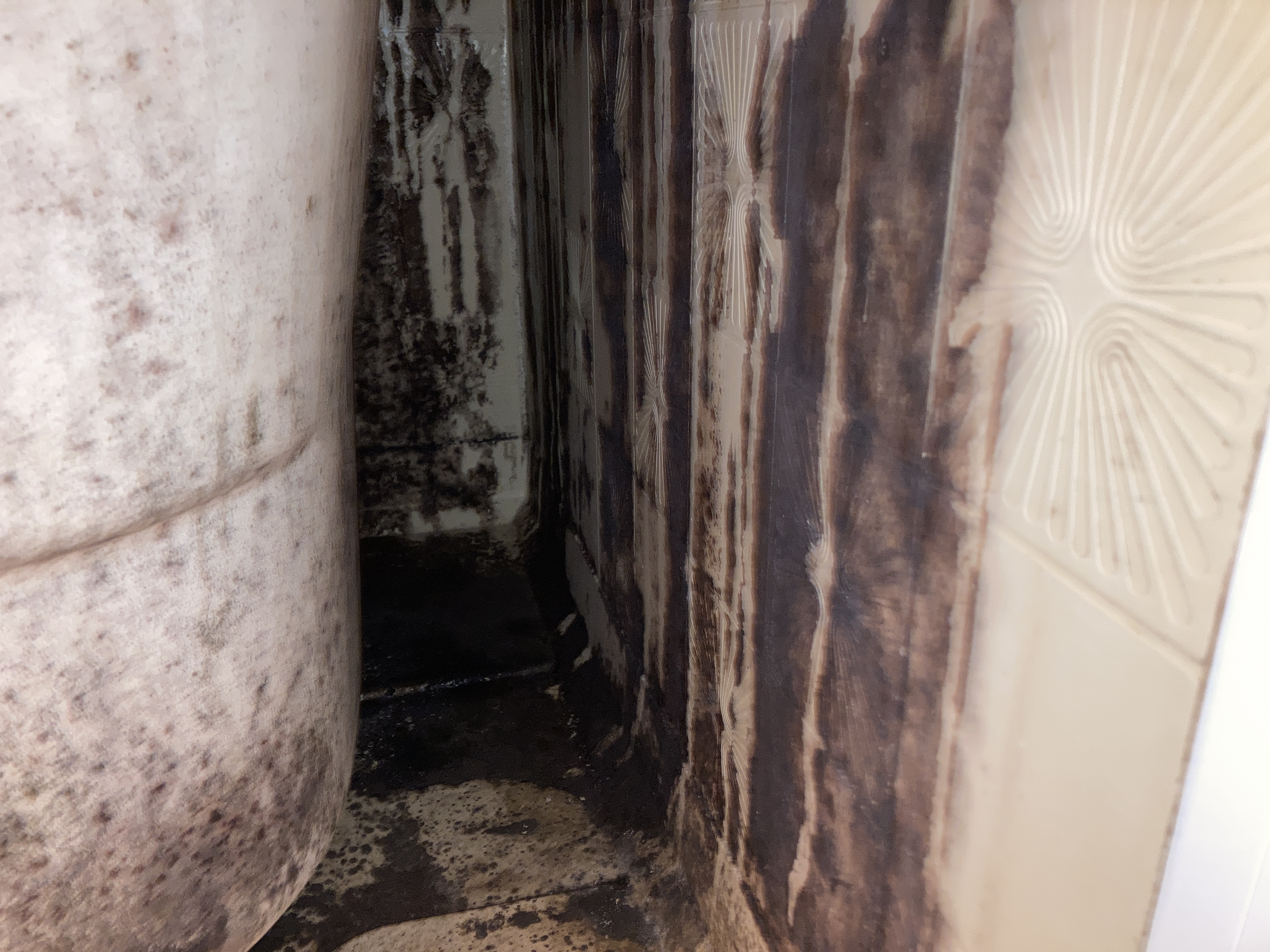 京都府宇治市伊勢田町の浴室・お風呂クリーニングの作業前1