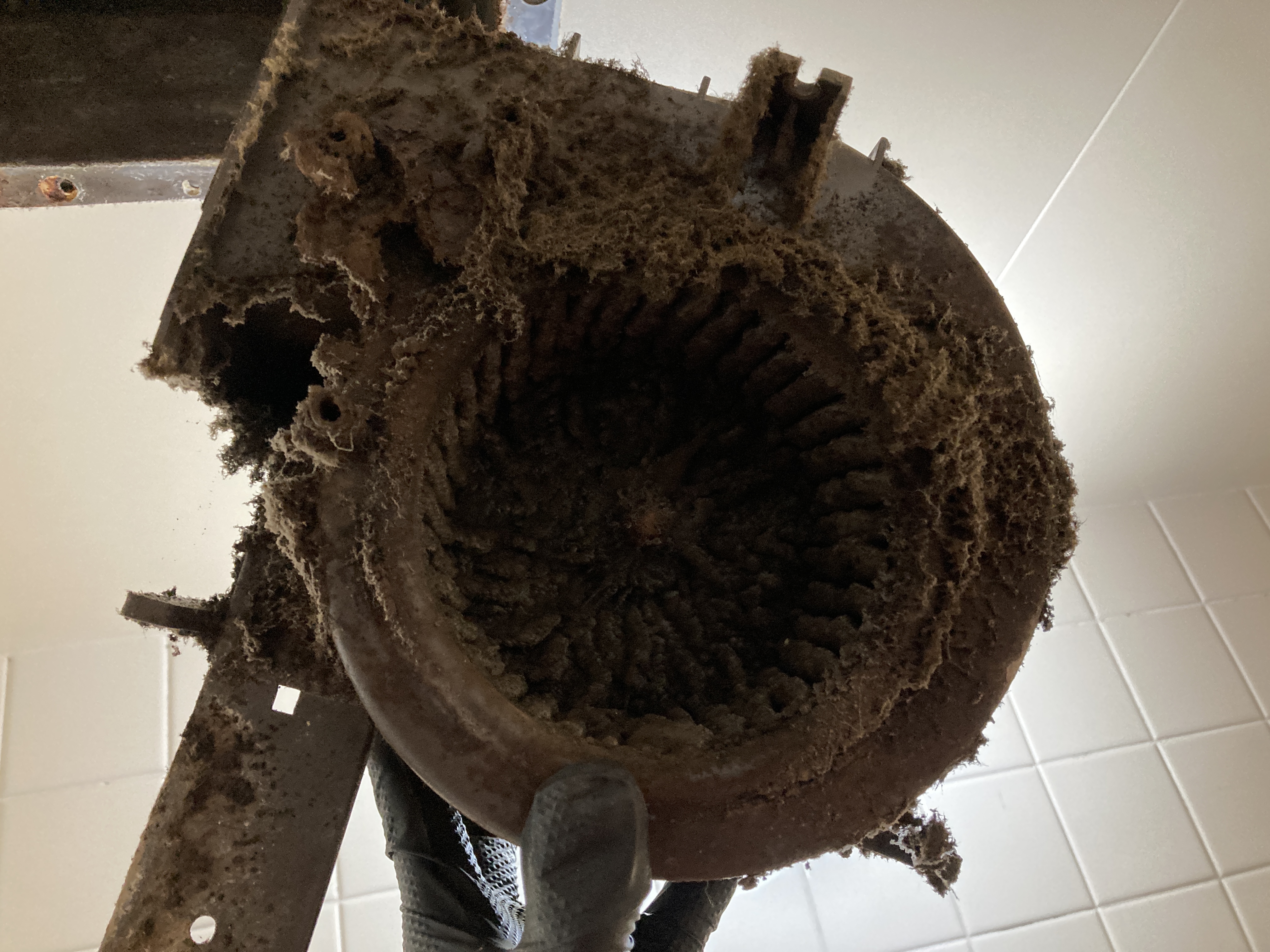 京都府京都市南区吉祥院石原町の浴室・お風呂クリーニングの作業前2