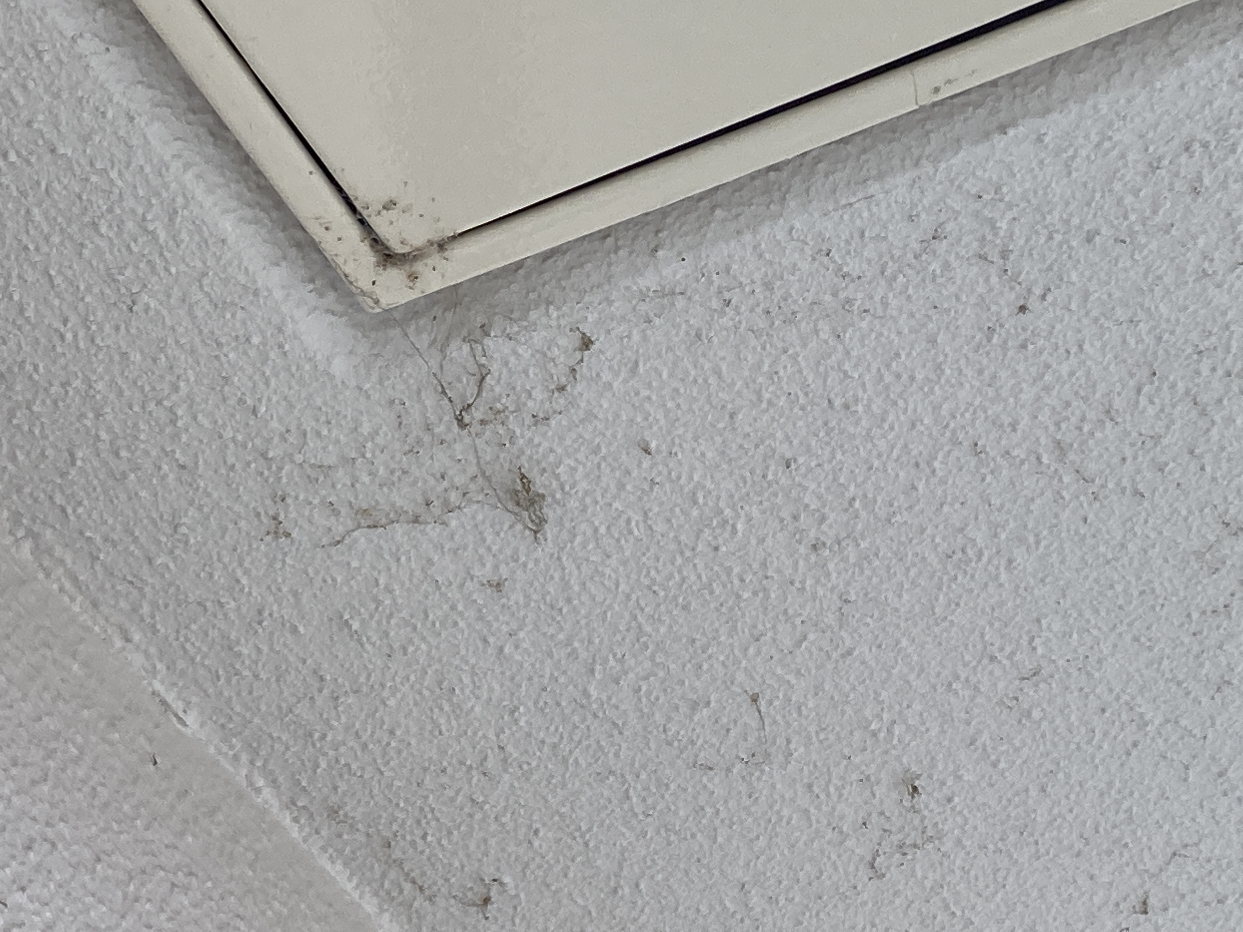 京都府京都市右京区山ノ内苗町のベランダ・バルコニークリーニングの作業前2