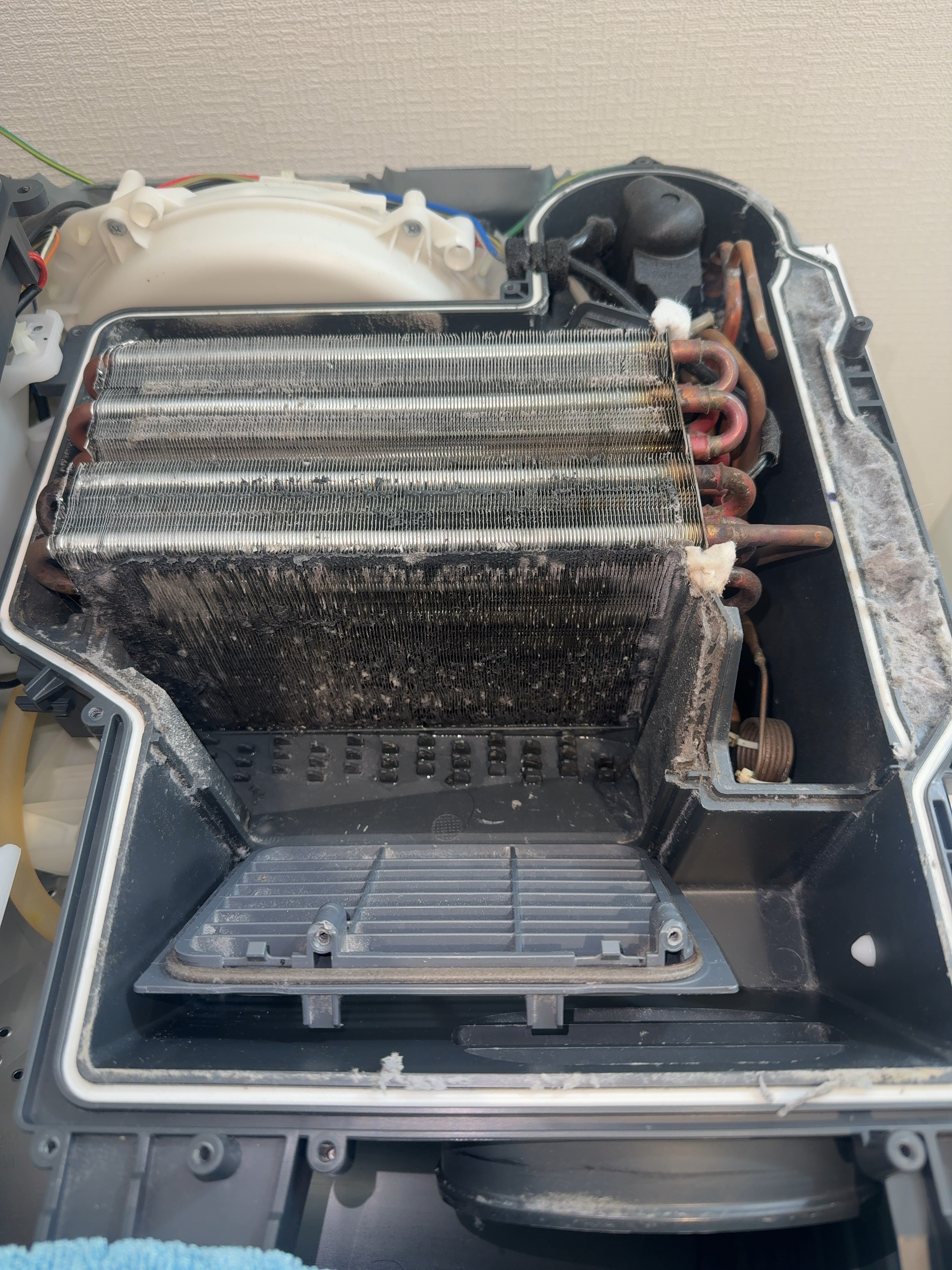 大阪府岸和田市の洗濯機分解クリーニングの作業前1