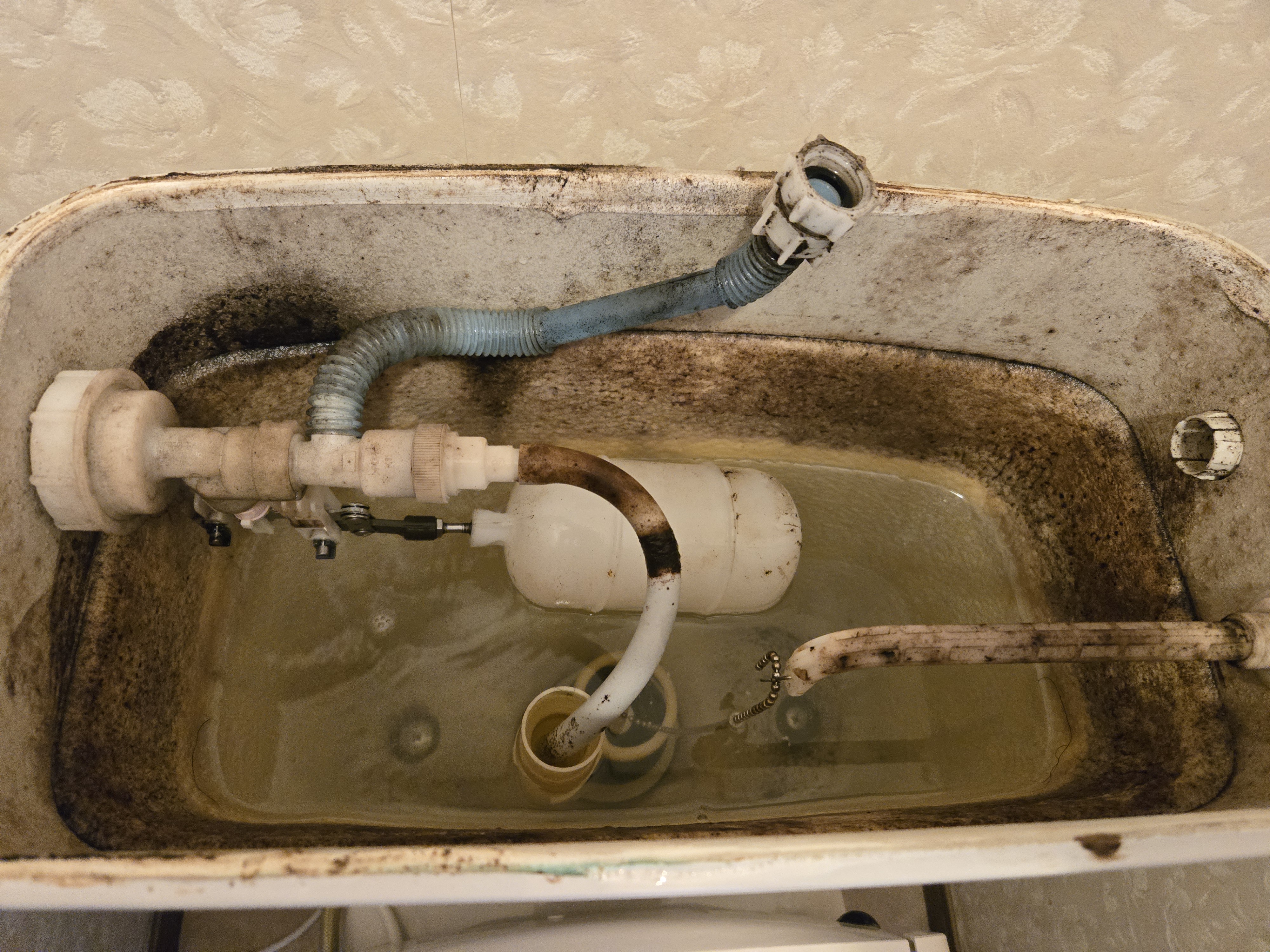 東京都杉並区のトイレクリーニングの作業前2