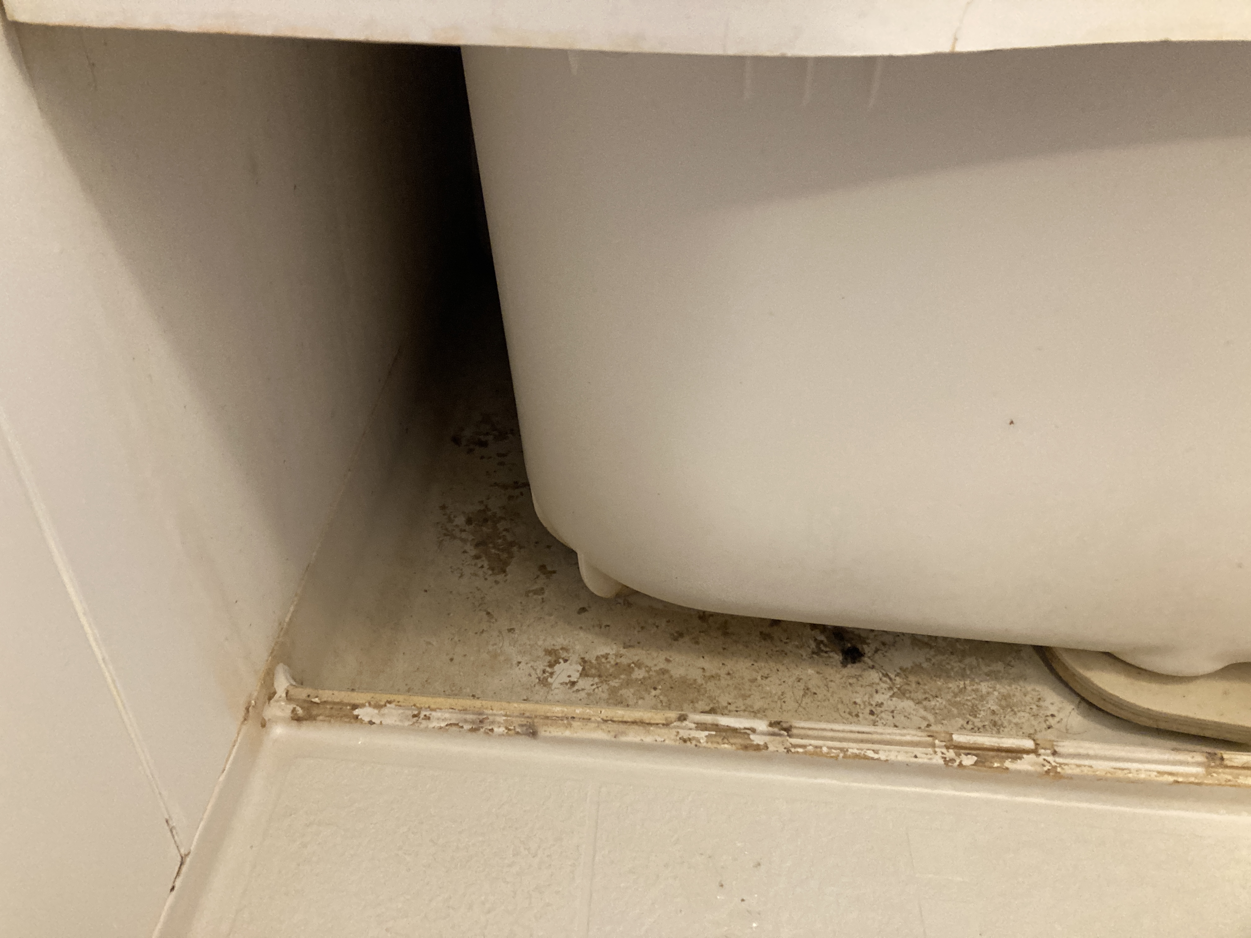 京都府城陽市寺田乾出北の浴室・お風呂クリーニングの作業前2