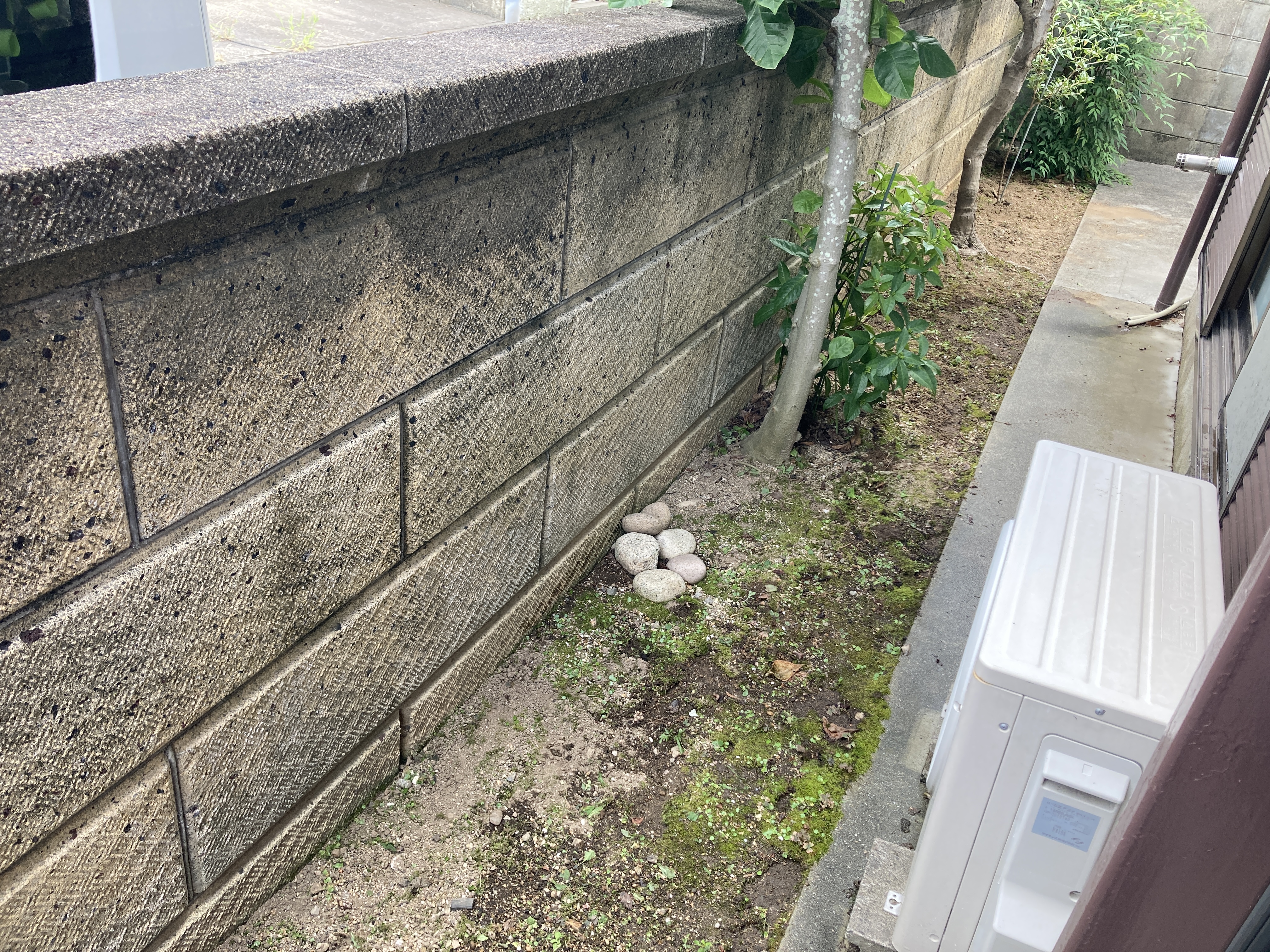 京都府京都市伏見区桃山町大島の何でもわがまま定額サービスの作業後2