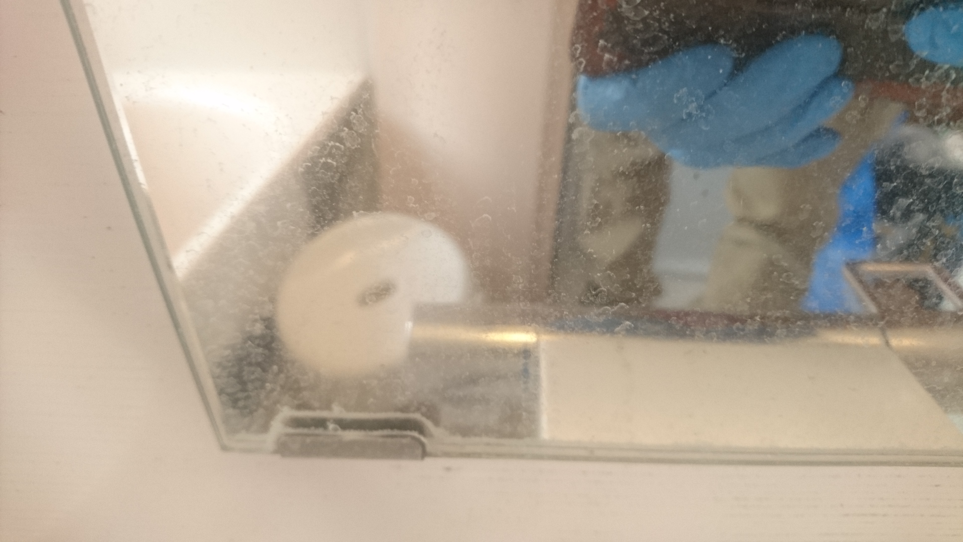 東京都東村山市の浴室・お風呂クリーニングの作業前2