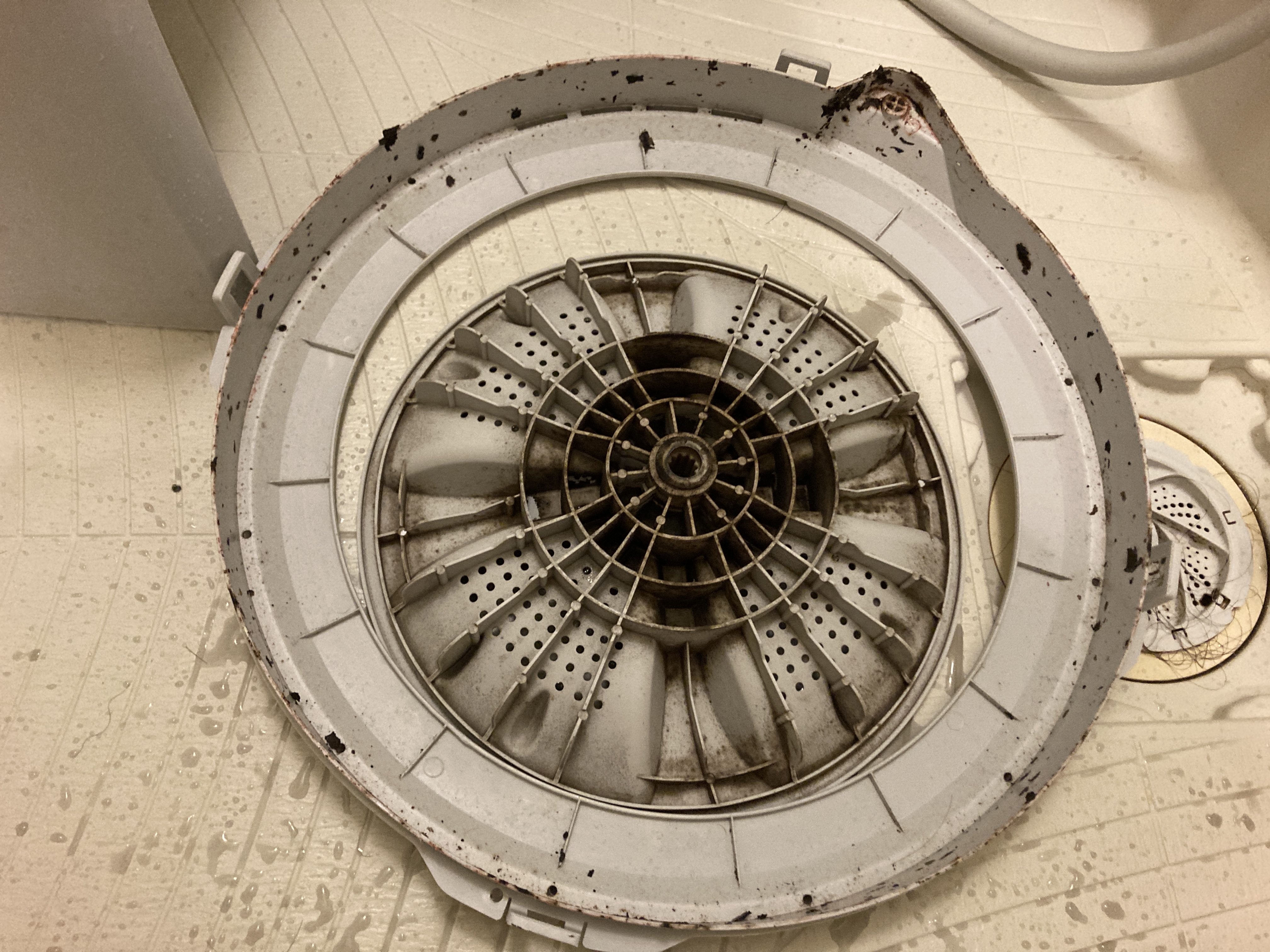 京都府京都市南区上鳥羽大柳町の洗濯機分解クリーニングの作業前3