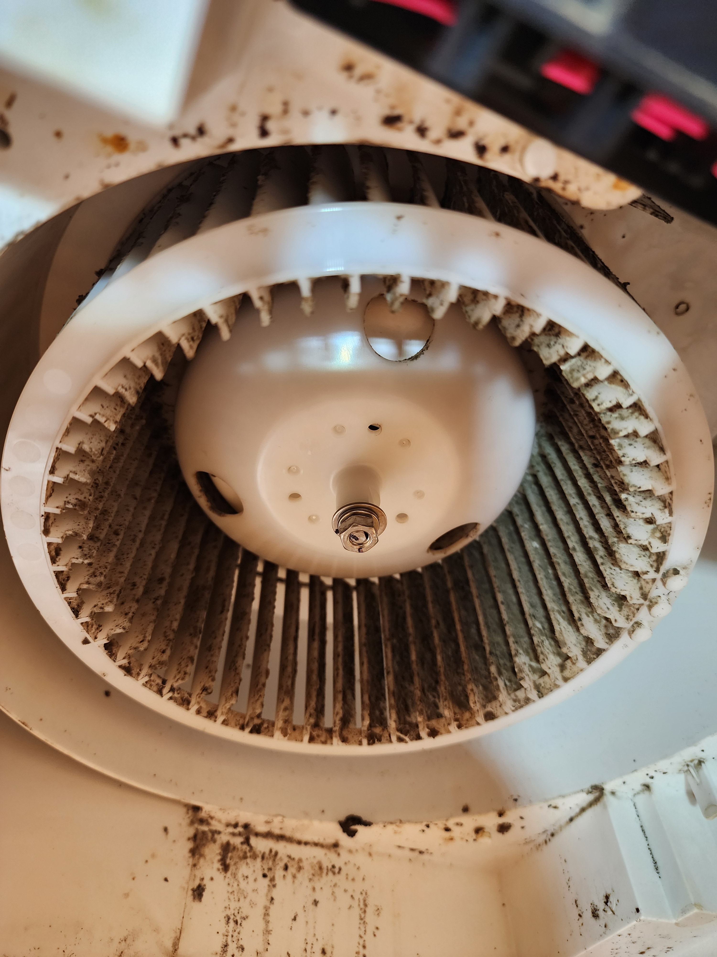 栃木県下野市の浴室乾燥機クリーニングの作業前1