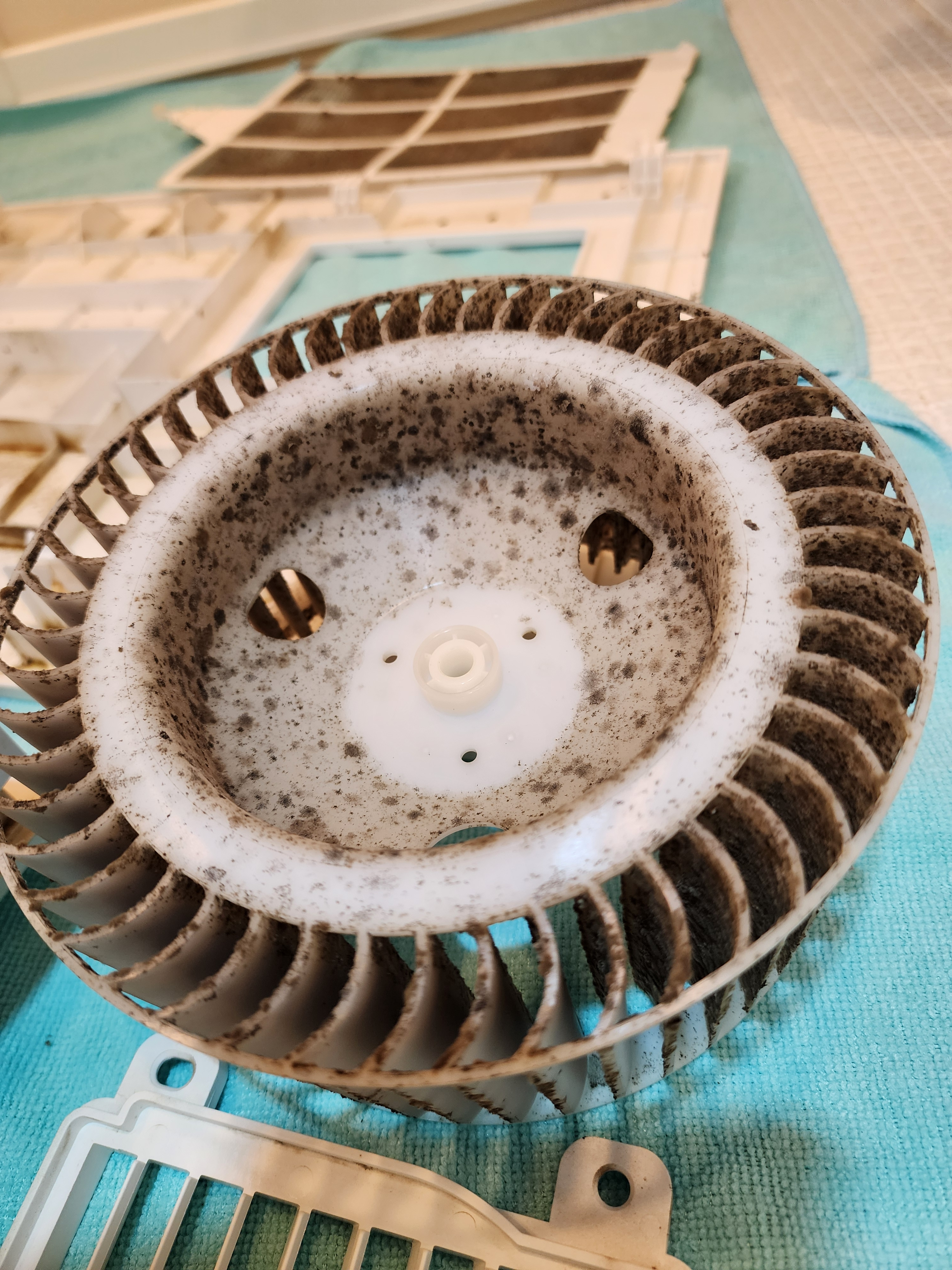 栃木県下野市の浴室乾燥機クリーニングの作業前2