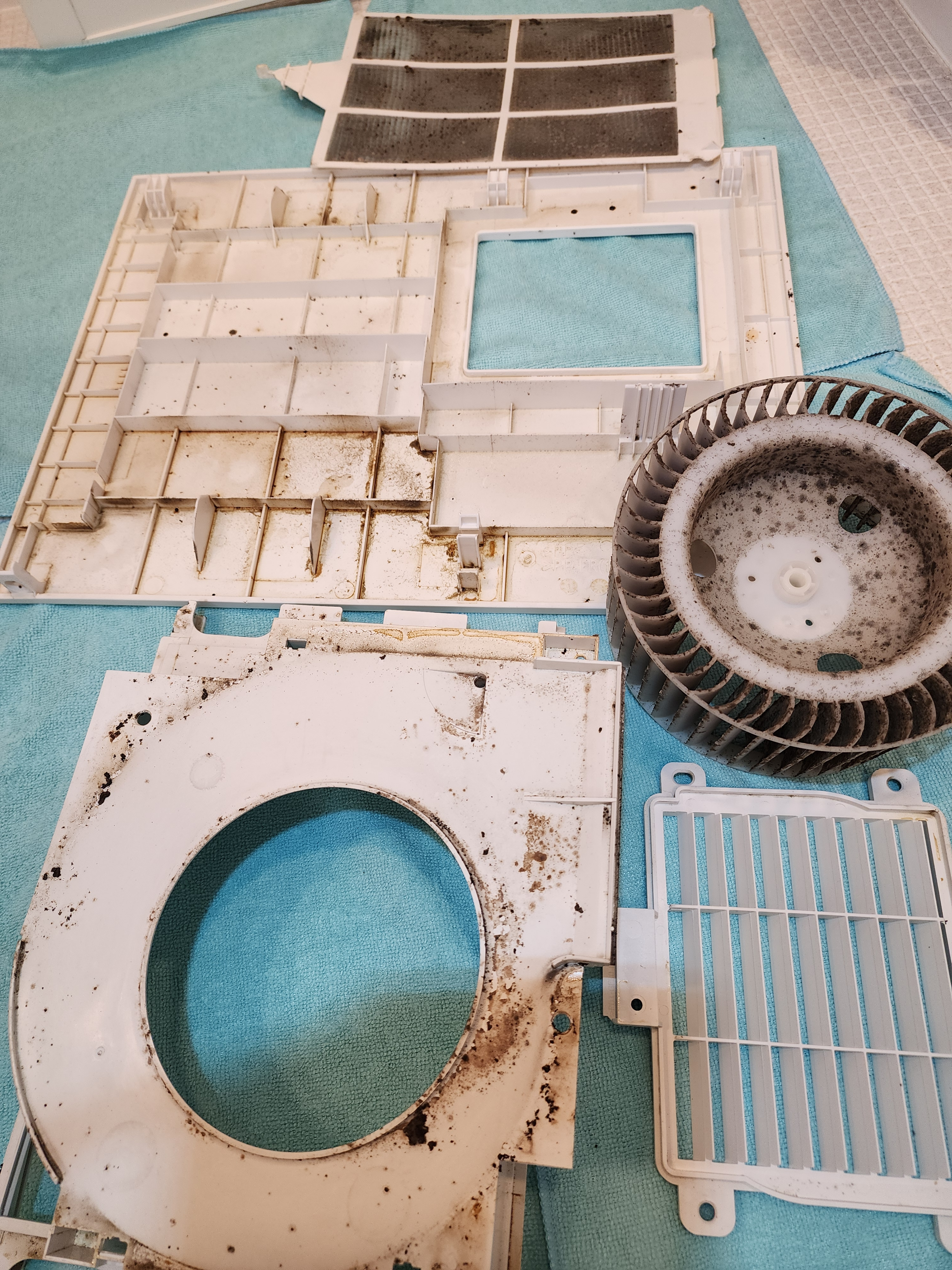 栃木県下野市の浴室乾燥機クリーニングの作業前3