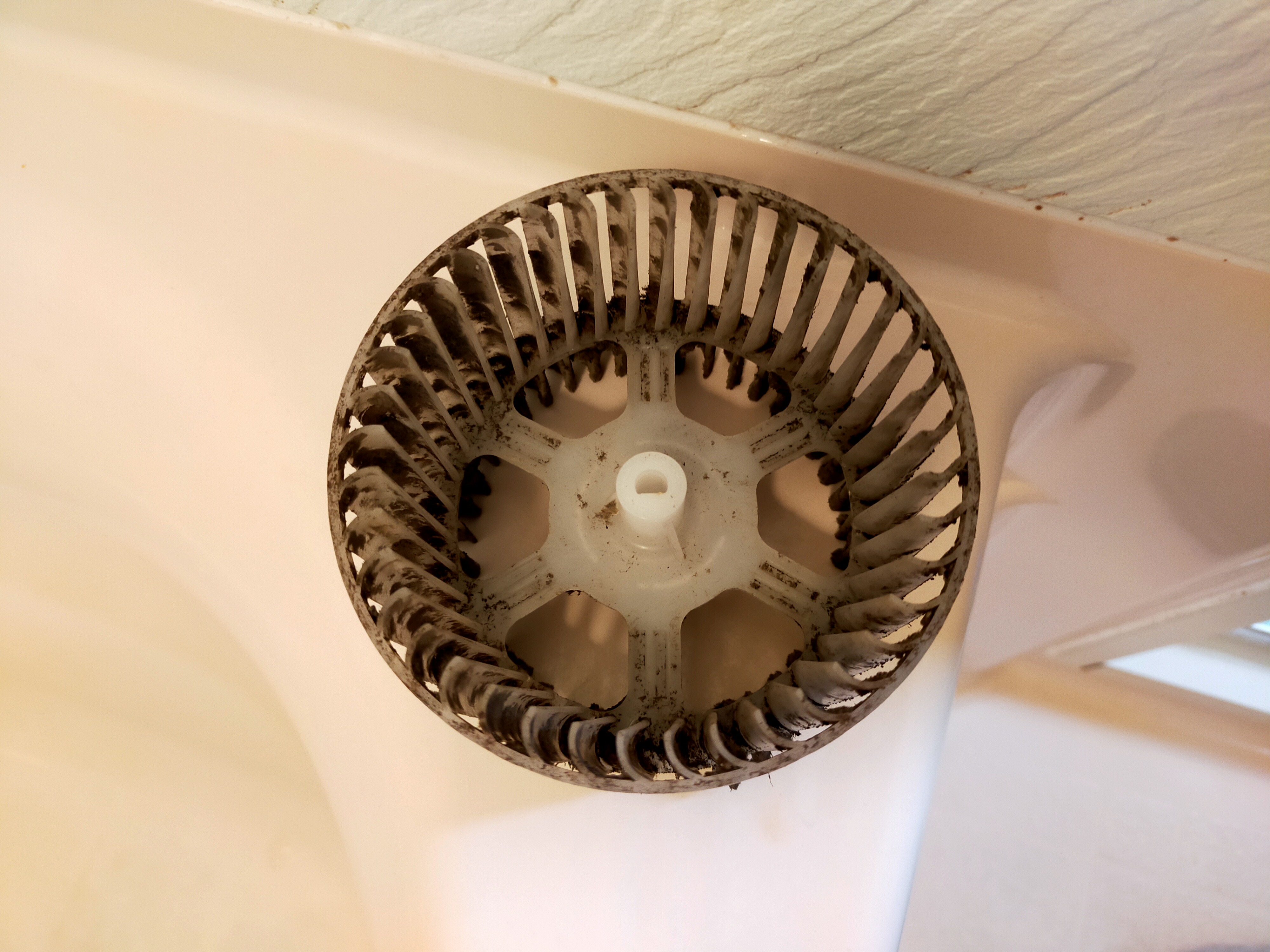 京都府京都市左京区上高野畑町の浴室・お風呂クリーニングの作業前1