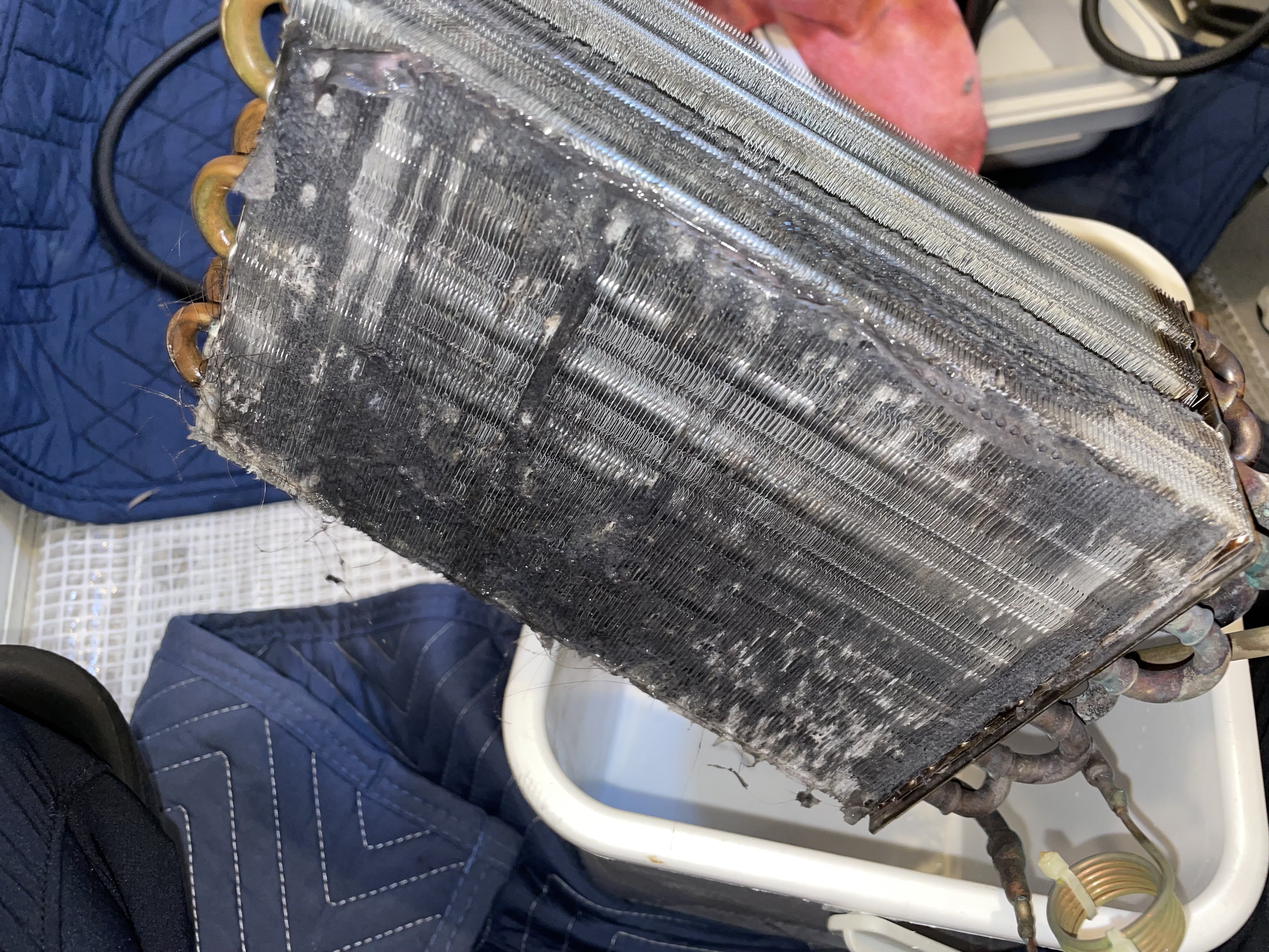 愛知県名古屋市東区の洗濯機分解クリーニングの作業前2