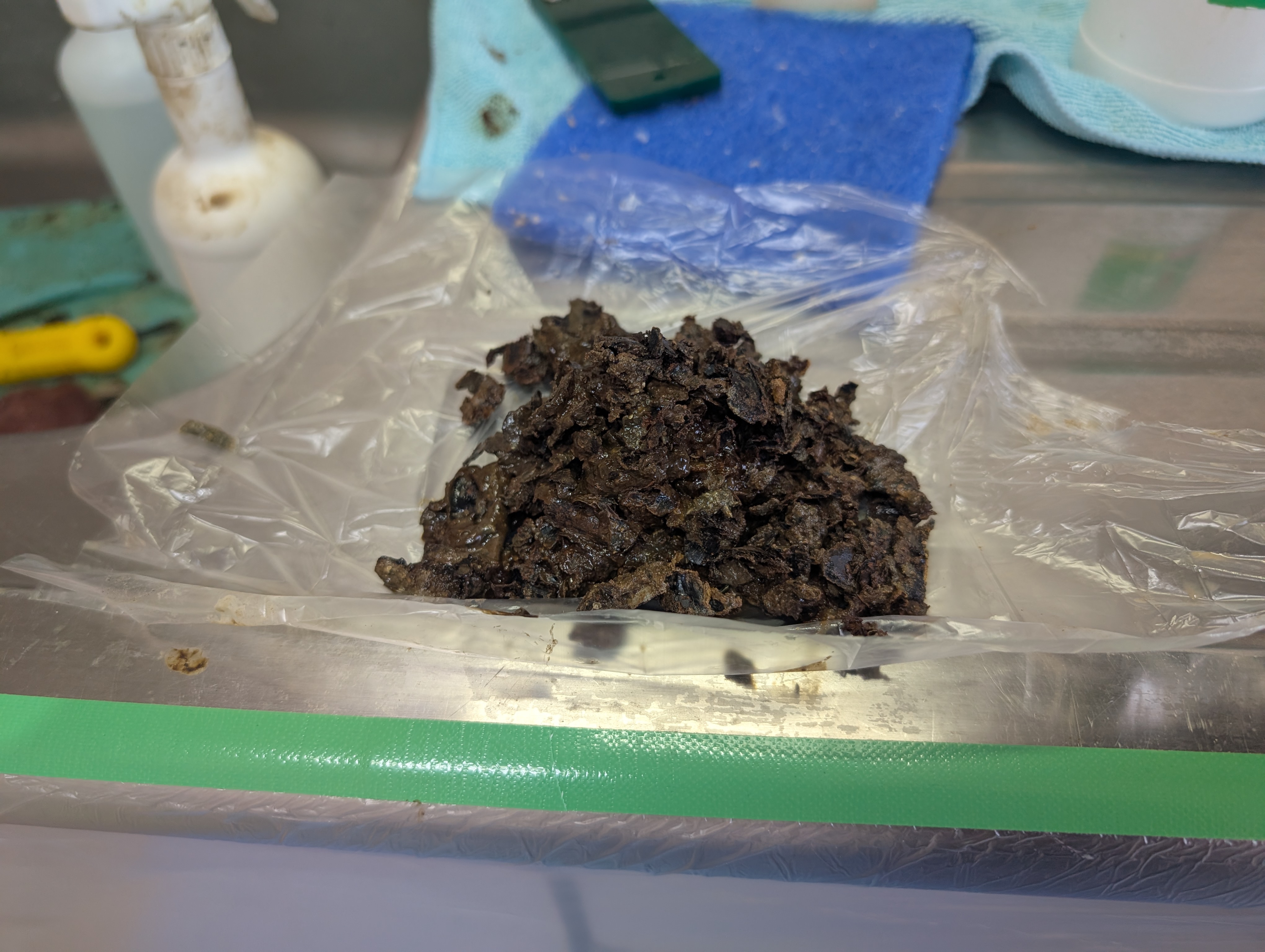 香川県高松市太田上町のレンジフードクリーニングの作業後3