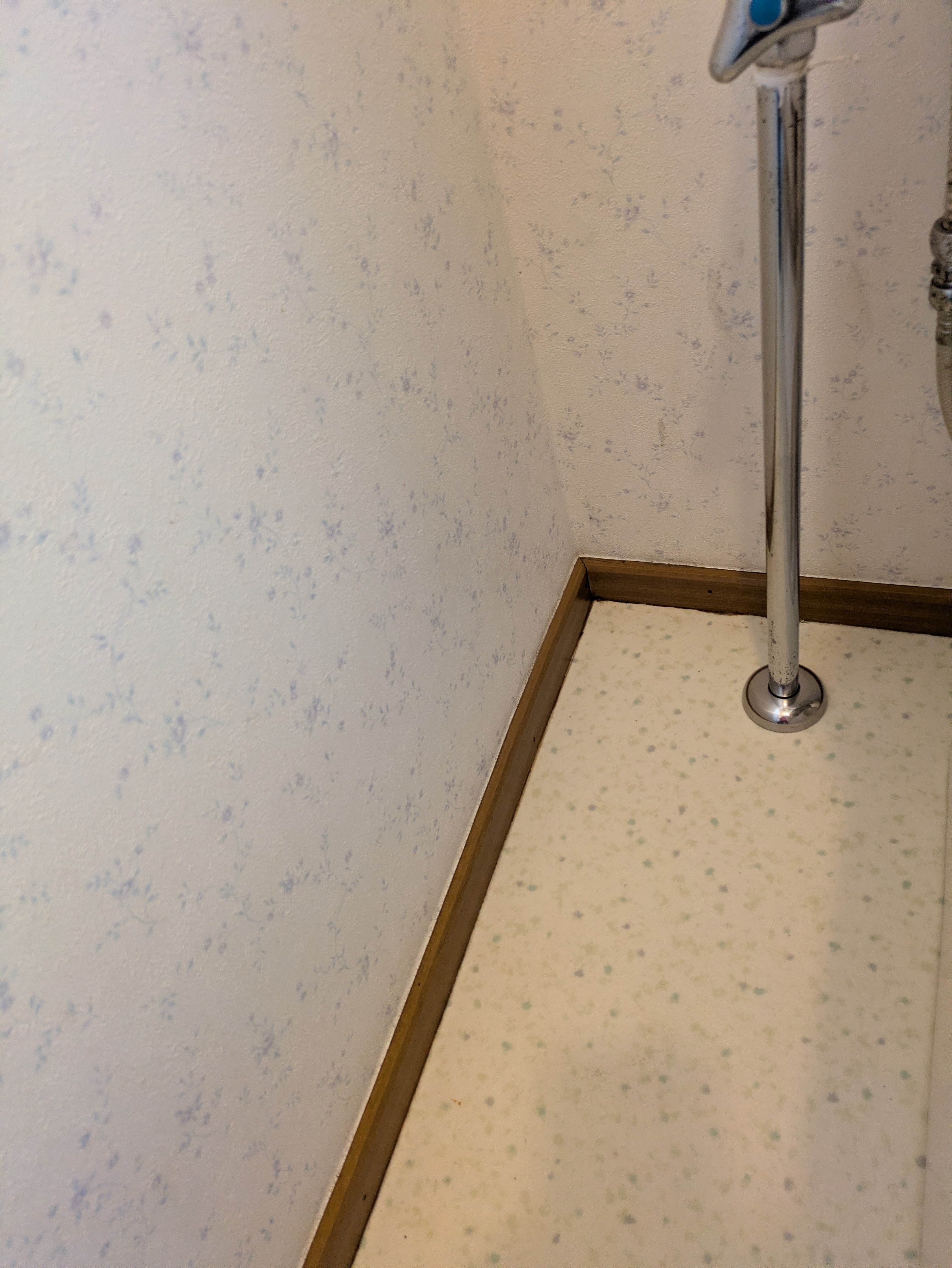 埼玉県さいたま市岩槻区裏慈恩寺のトイレクリーニングの作業後2