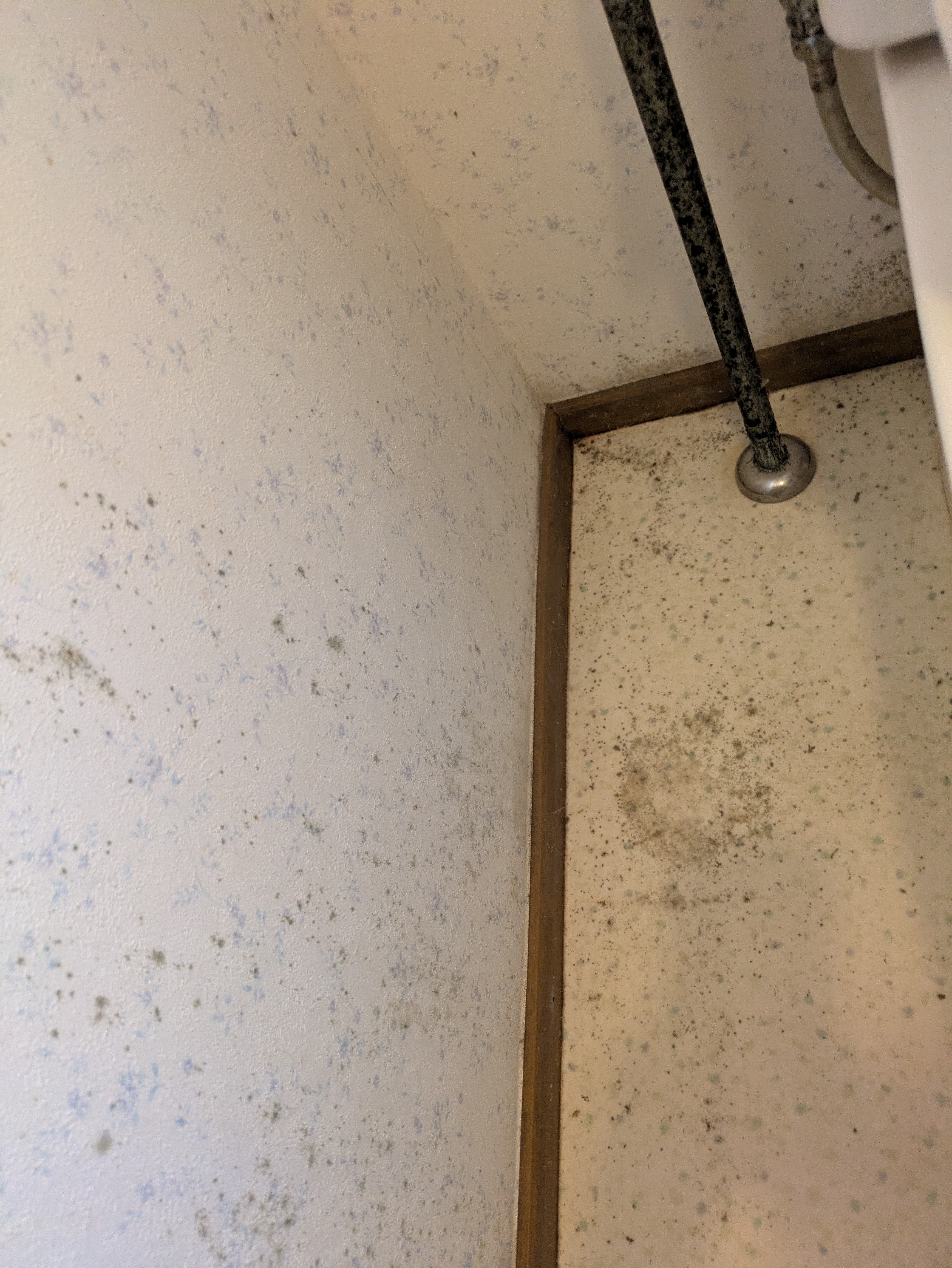 埼玉県さいたま市岩槻区裏慈恩寺のトイレクリーニングの作業前2