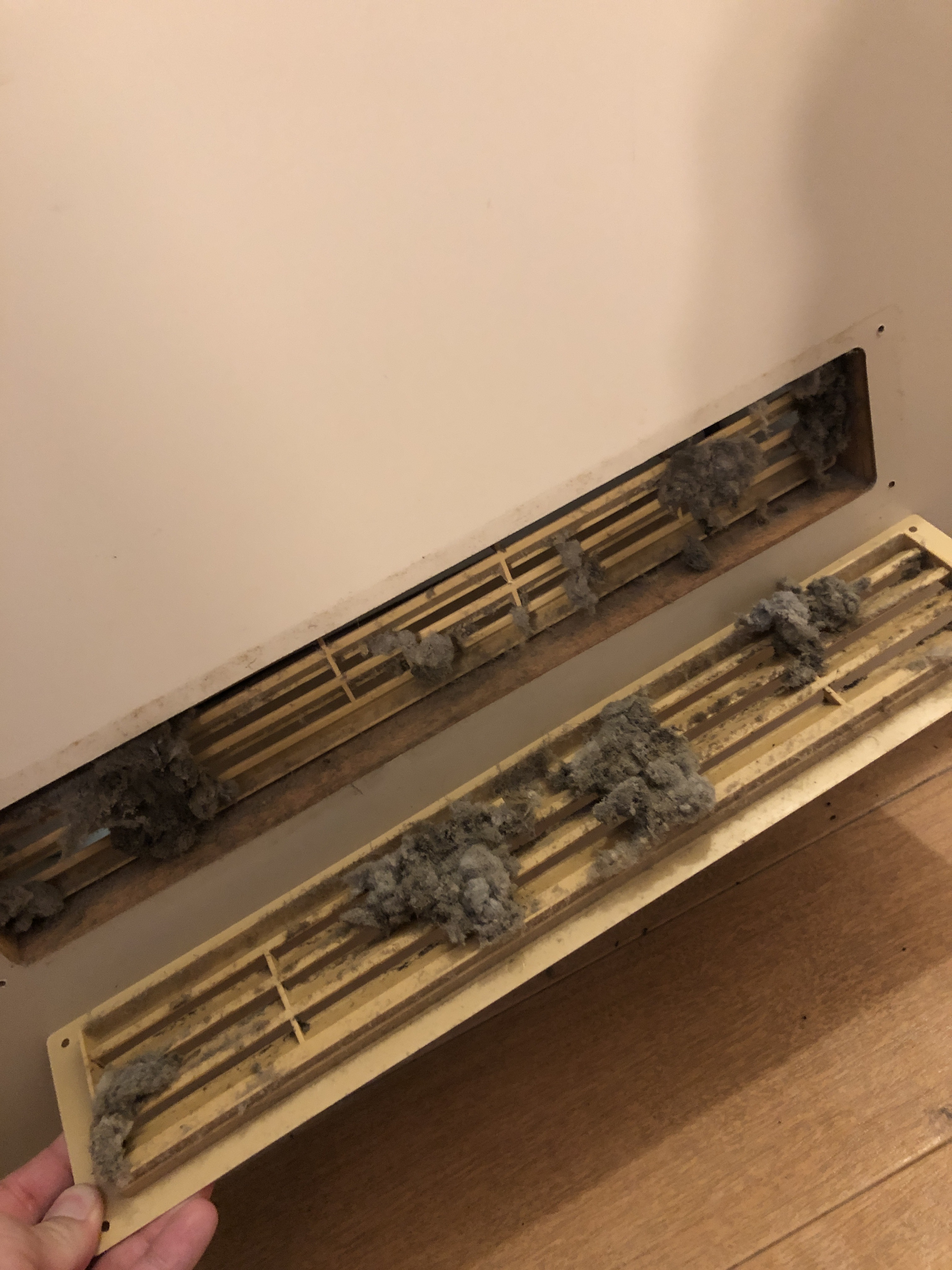 香川県高松市太田下町のトイレクリーニングの作業前2