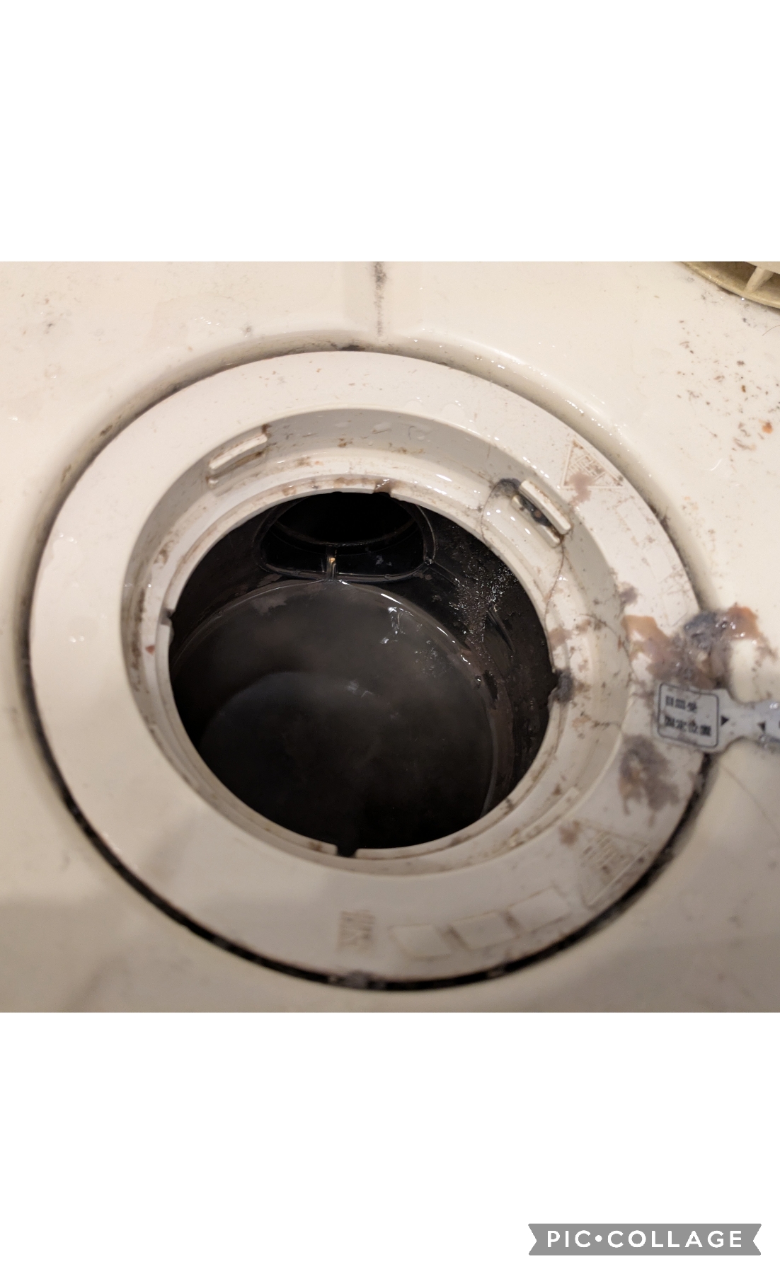 東京都品川区東大井の洗濯機分解クリーニングの作業前3