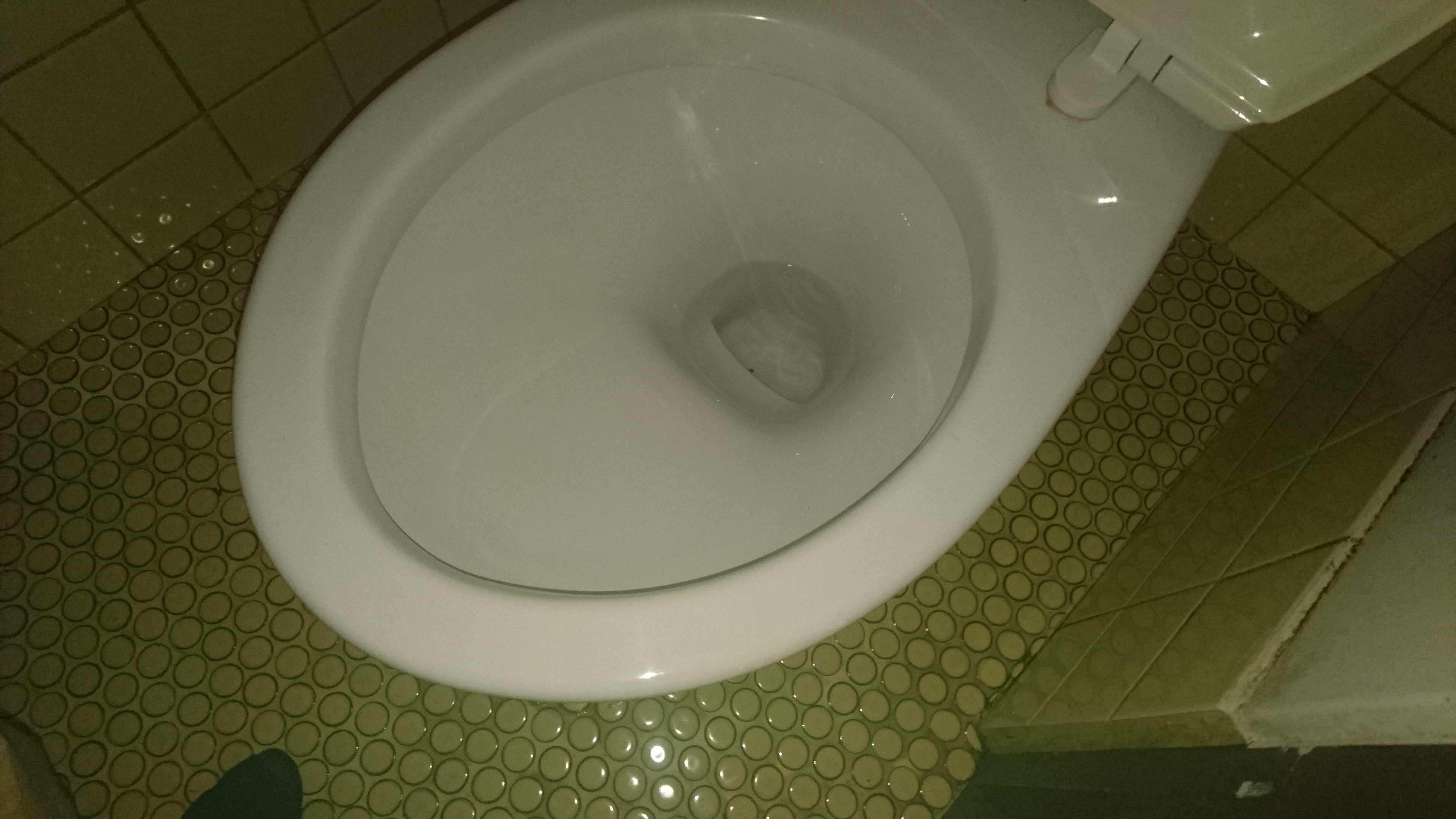 東京都立川市のトイレクリーニングの作業後1