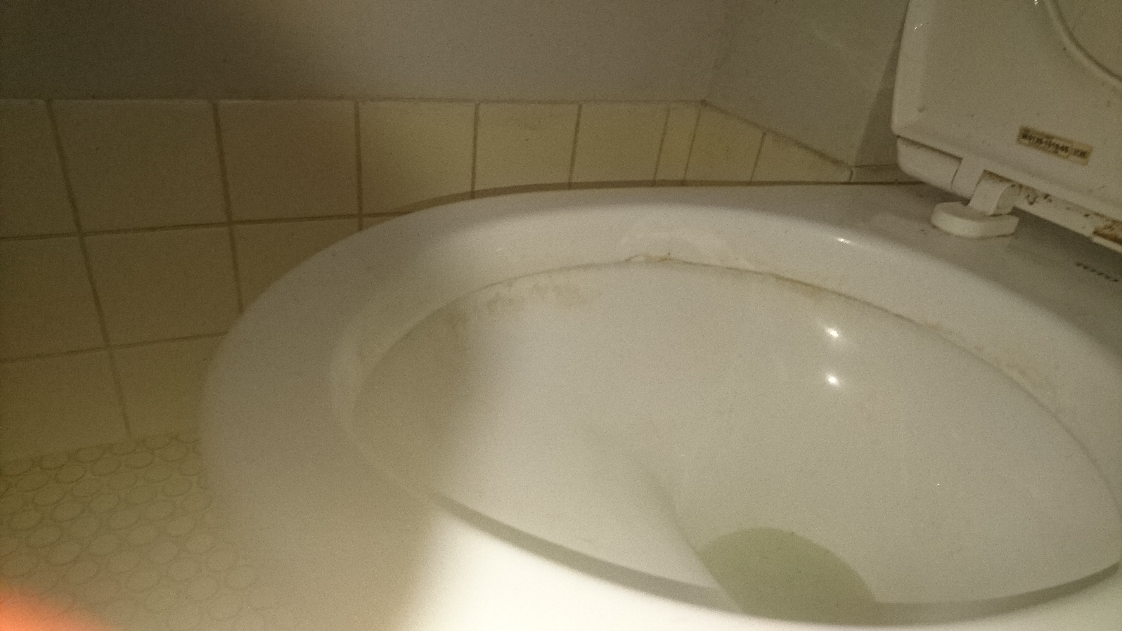 東京都立川市のトイレクリーニングの作業前1